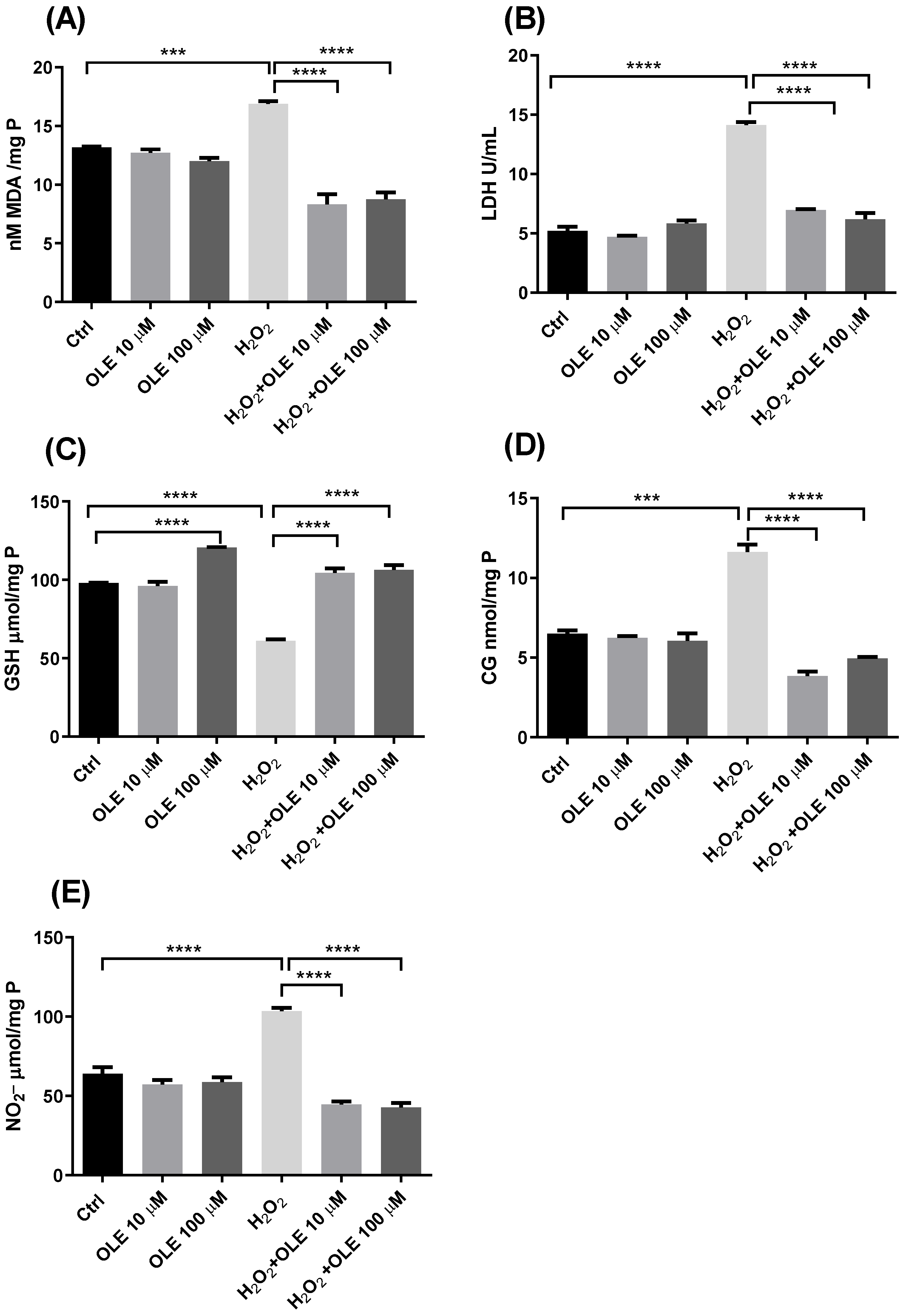 Antioxidants 12 00197 g005