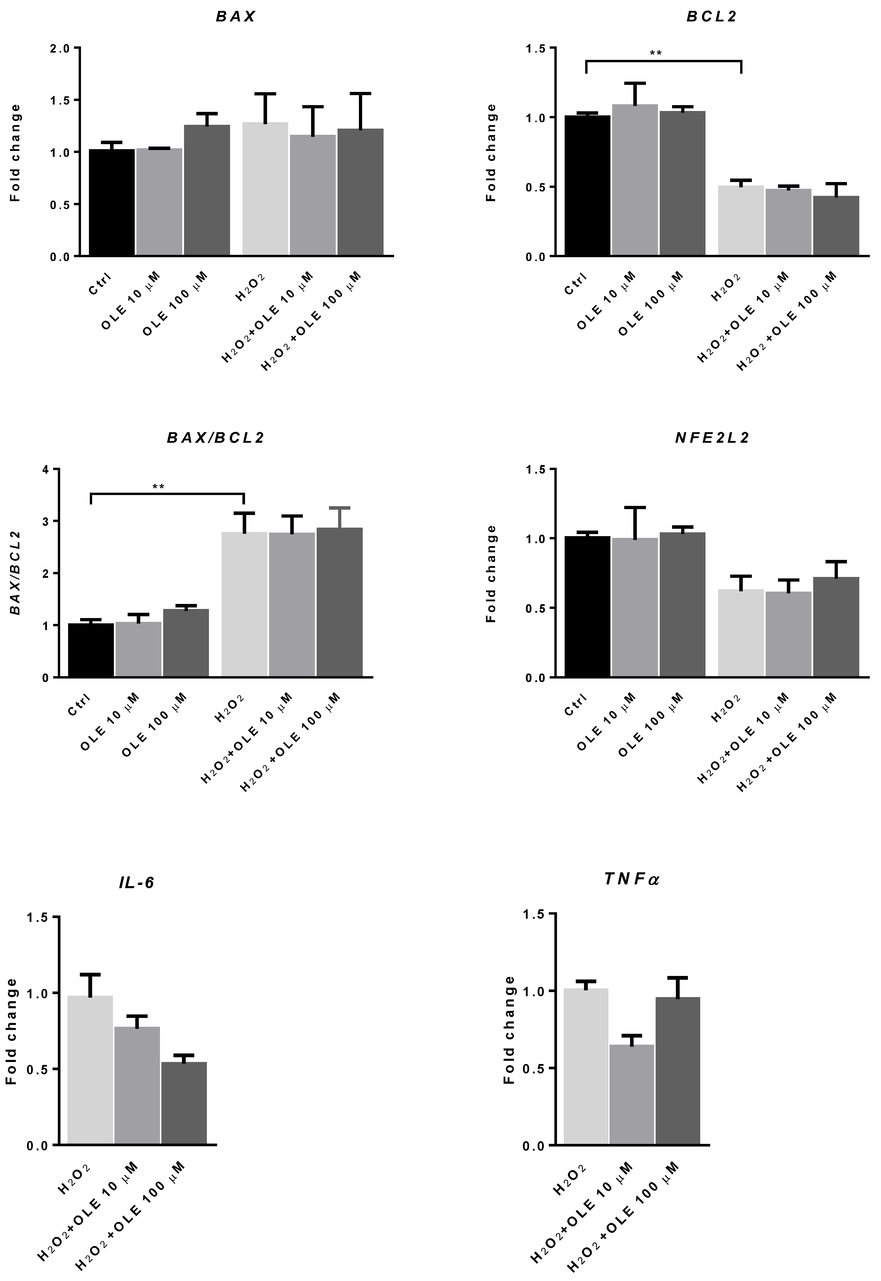 Antioxidants 12 00197 g007