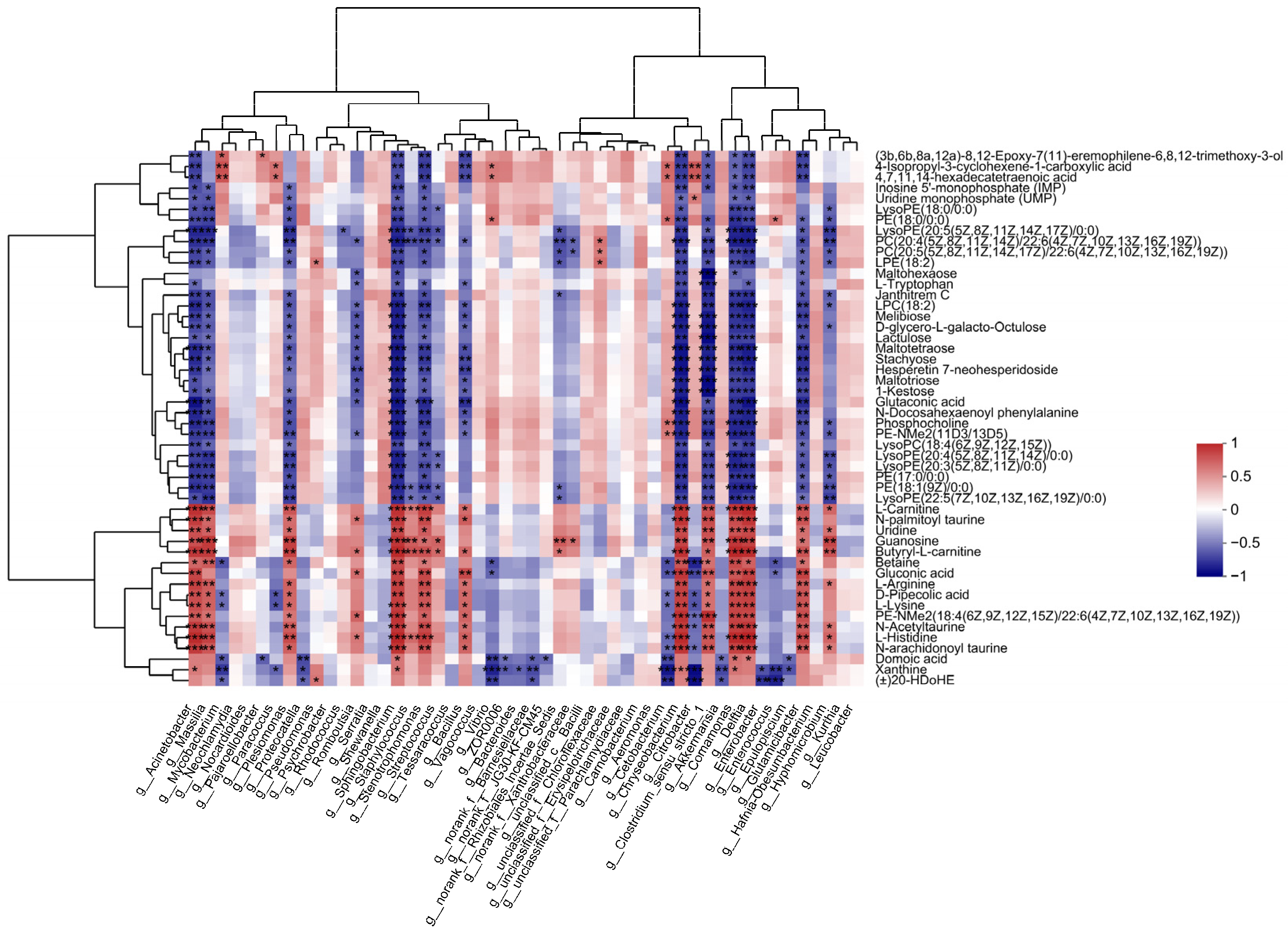 Antioxidants 12 00198 g006 Antioxidants 12 00198 g006