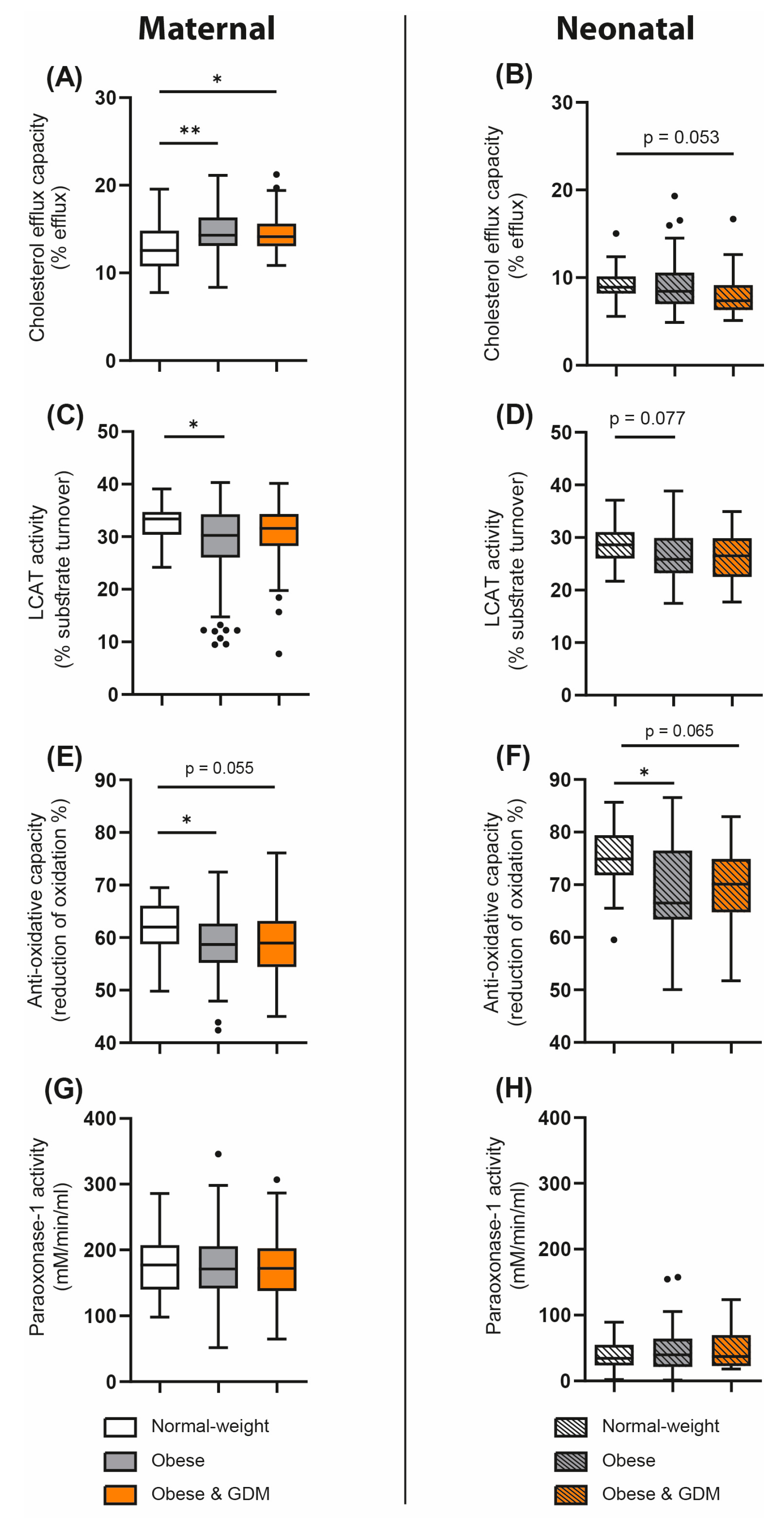 Antioxidants 12 00199 g002