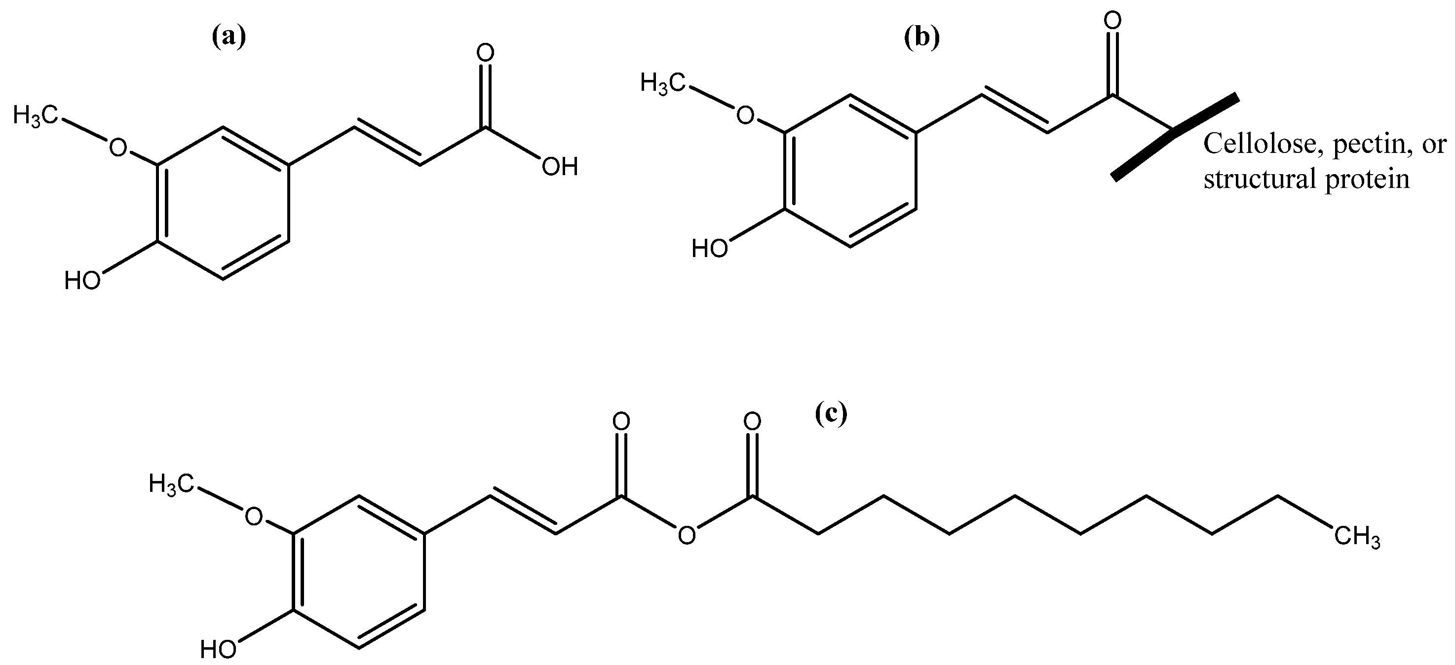 Antioxidants 12 00203 g001