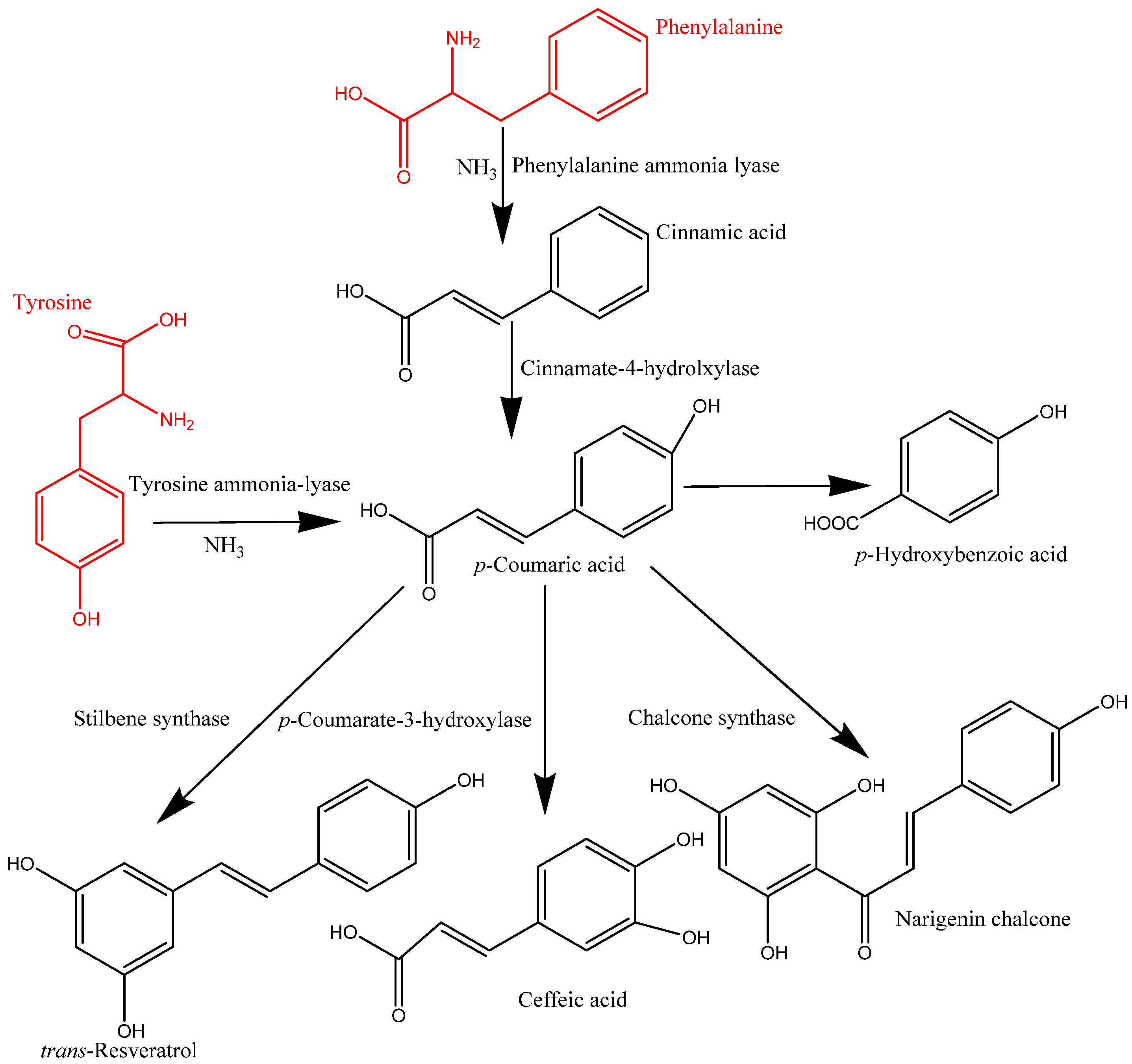 Antioxidants 12 00203 g002