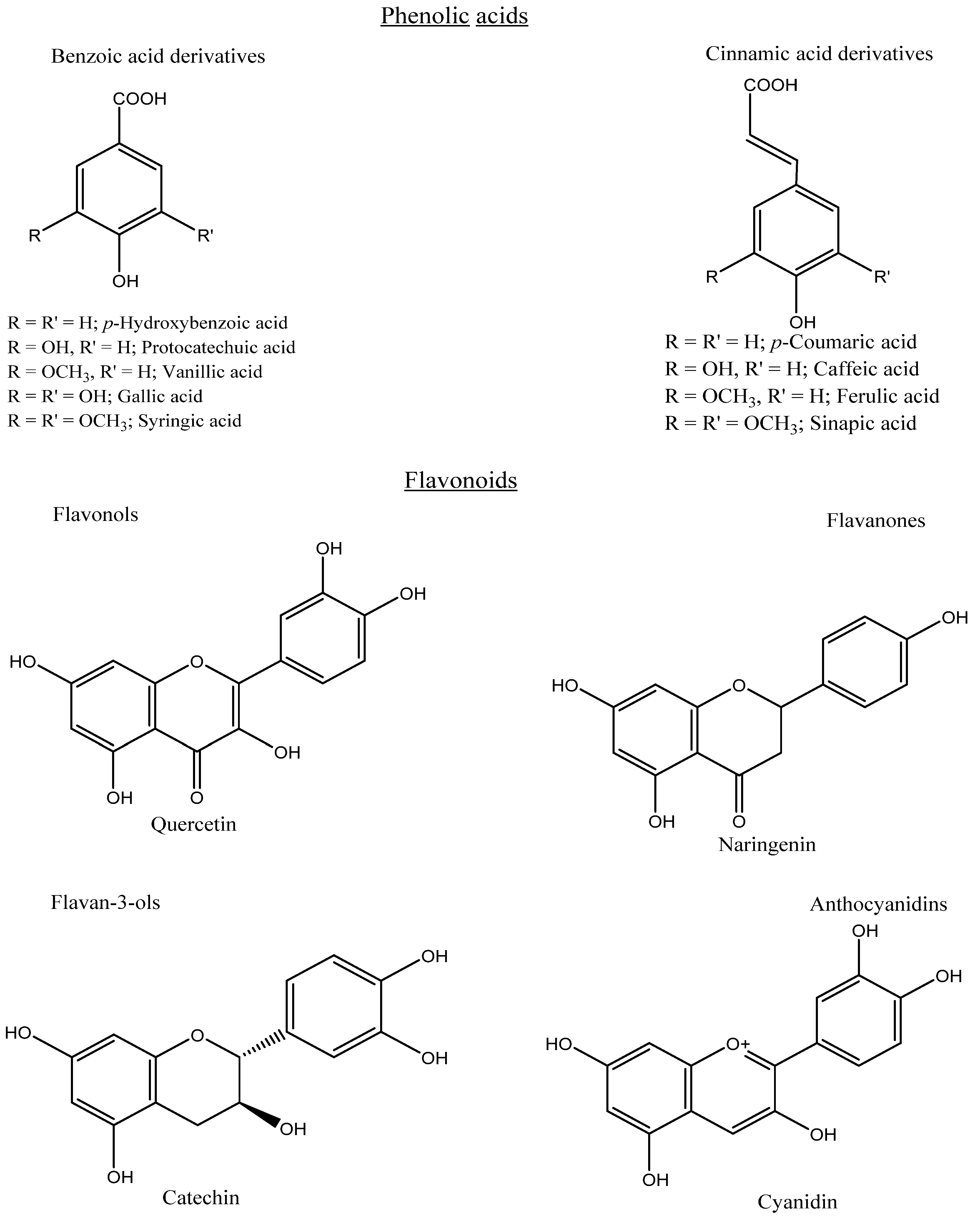 Antioxidants 12 00203 g003