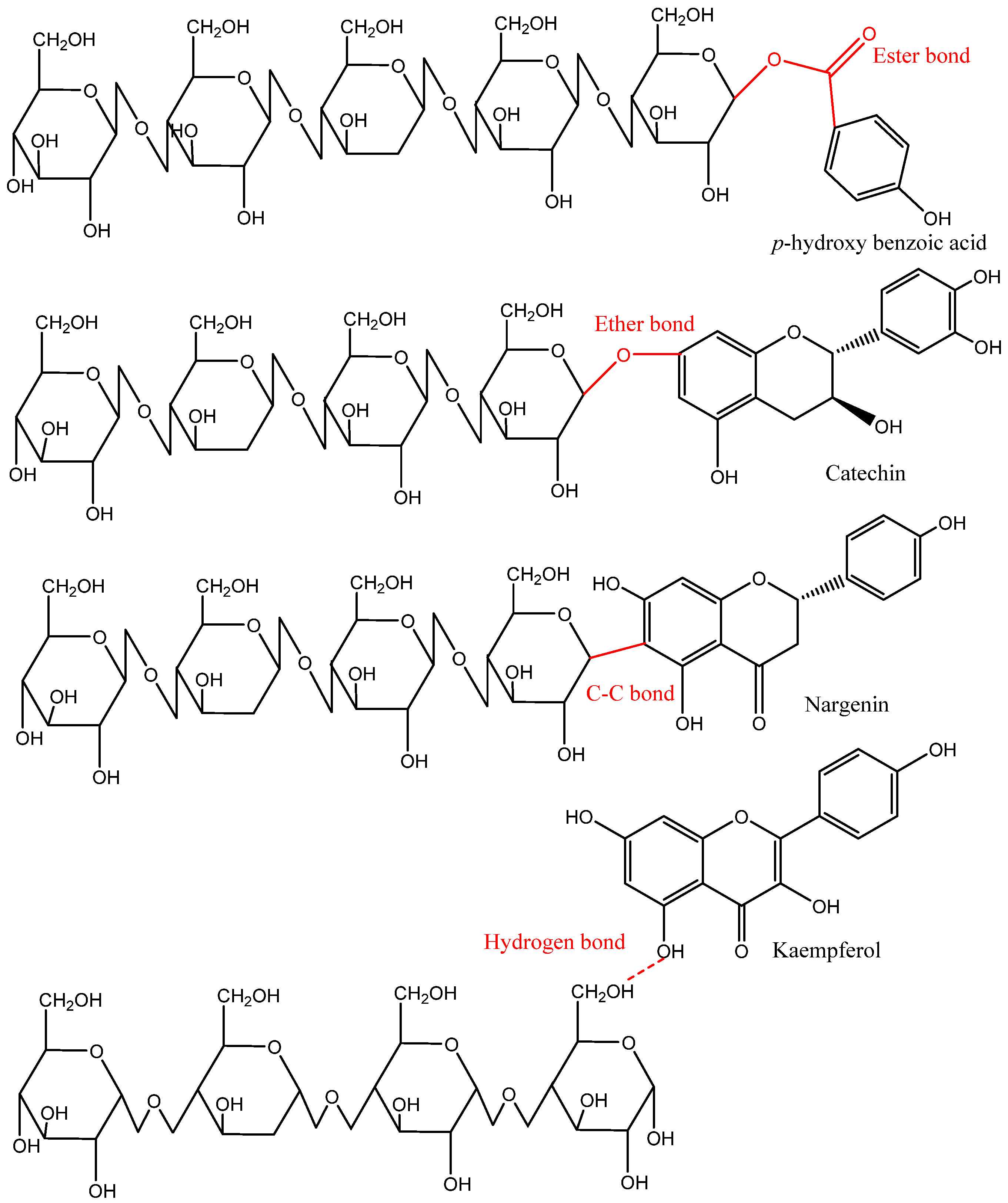Antioxidants 12 00203 g004