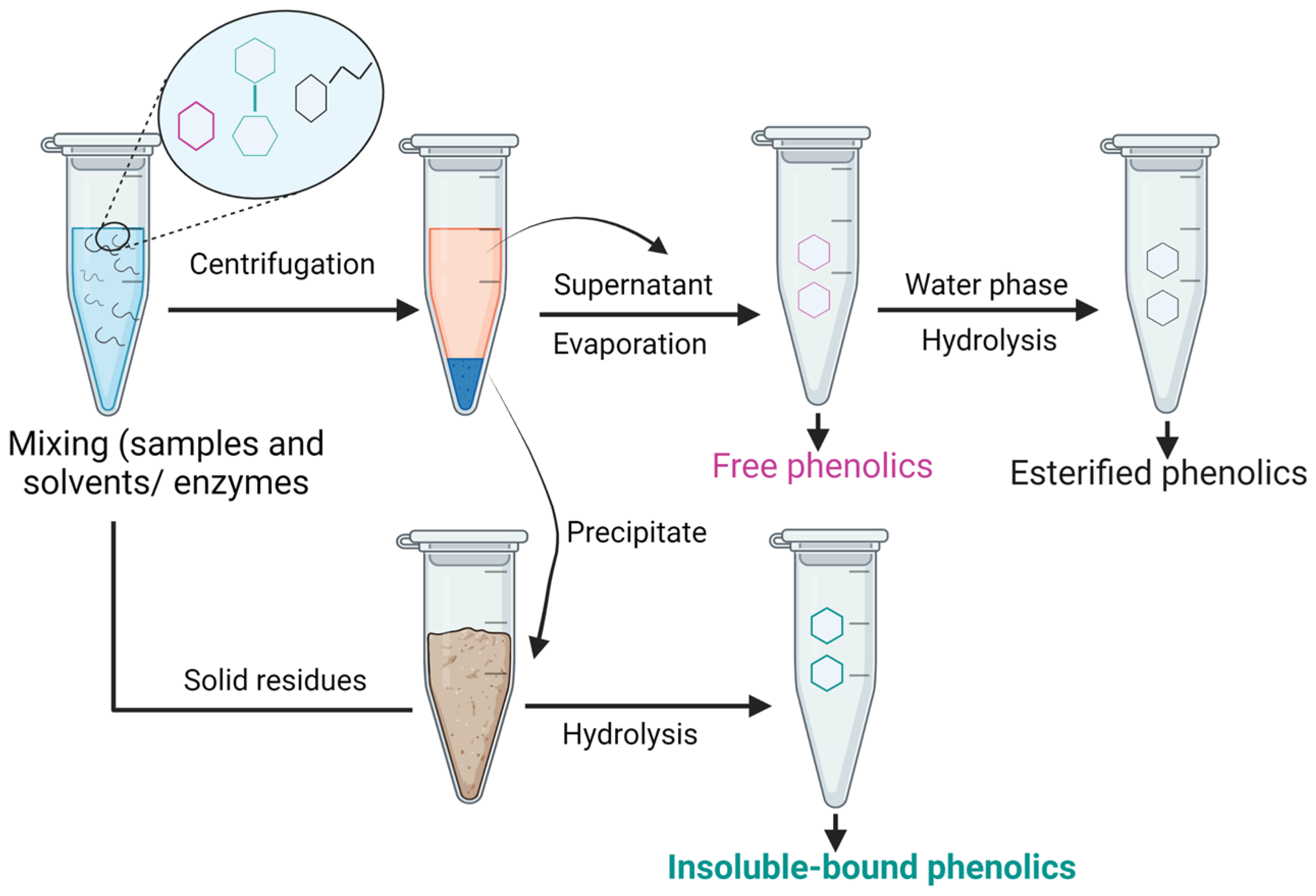 Antioxidants 12 00203 g005