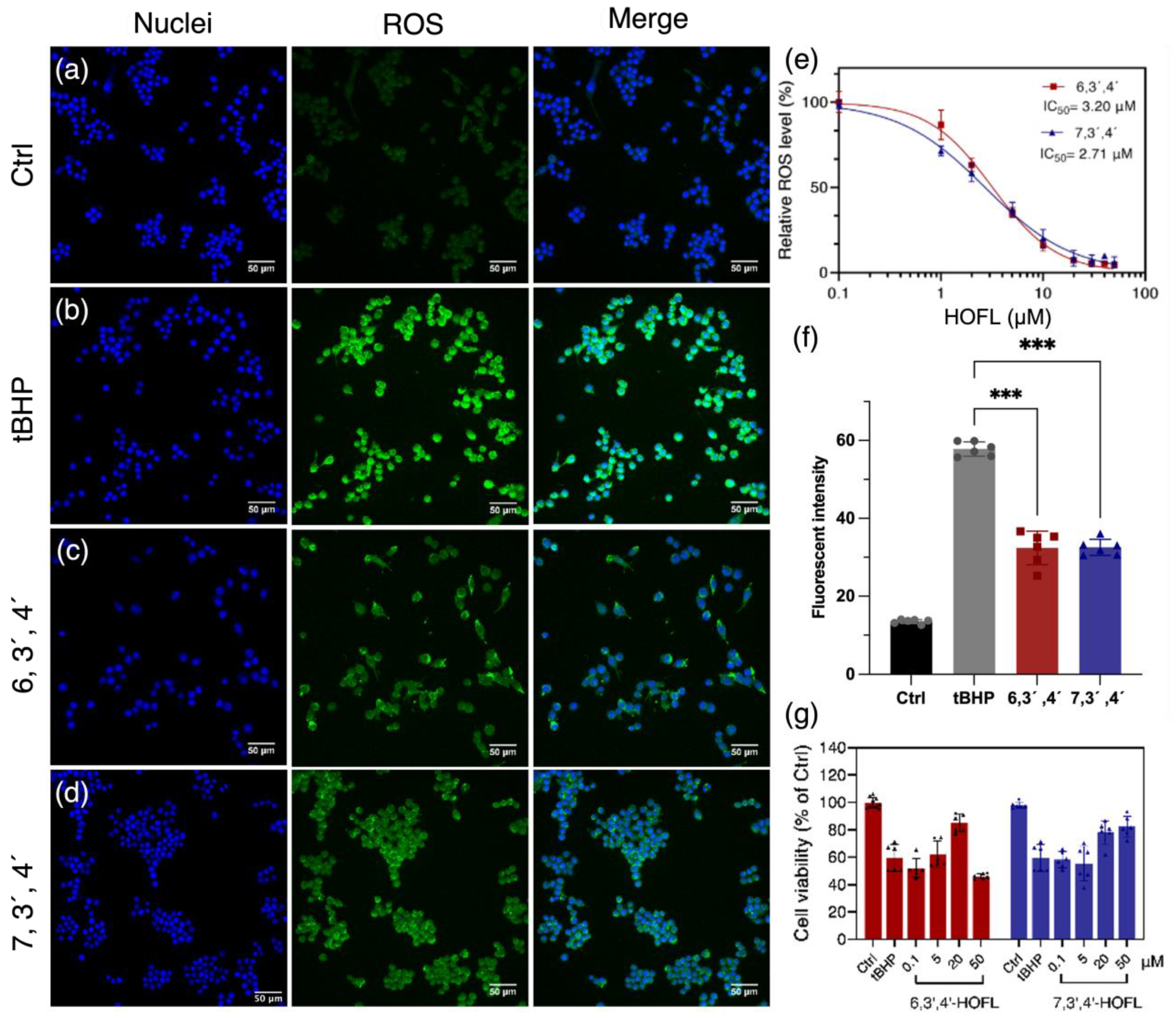 Antioxidants 12 00204 g001