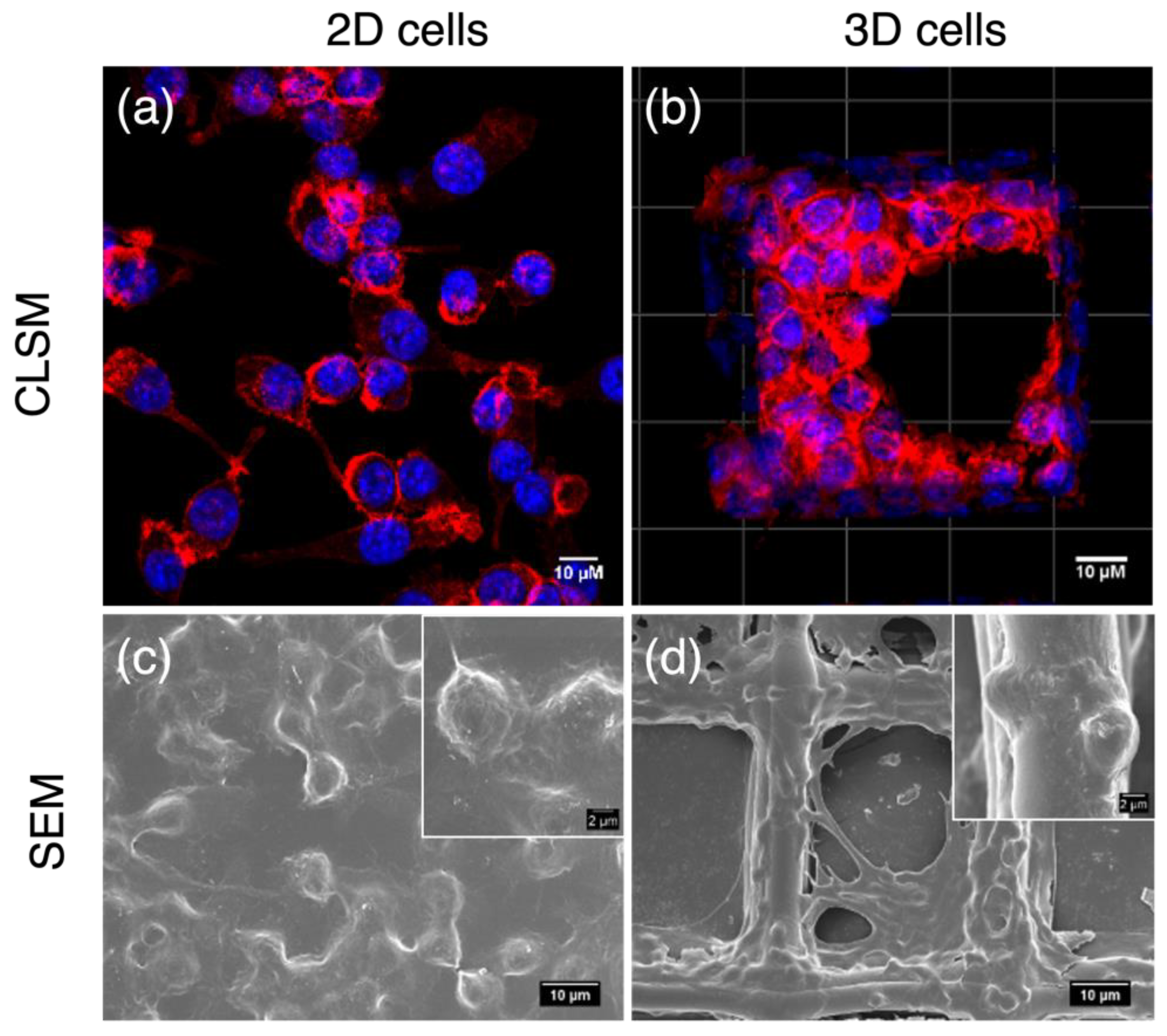Antioxidants 12 00204 g002