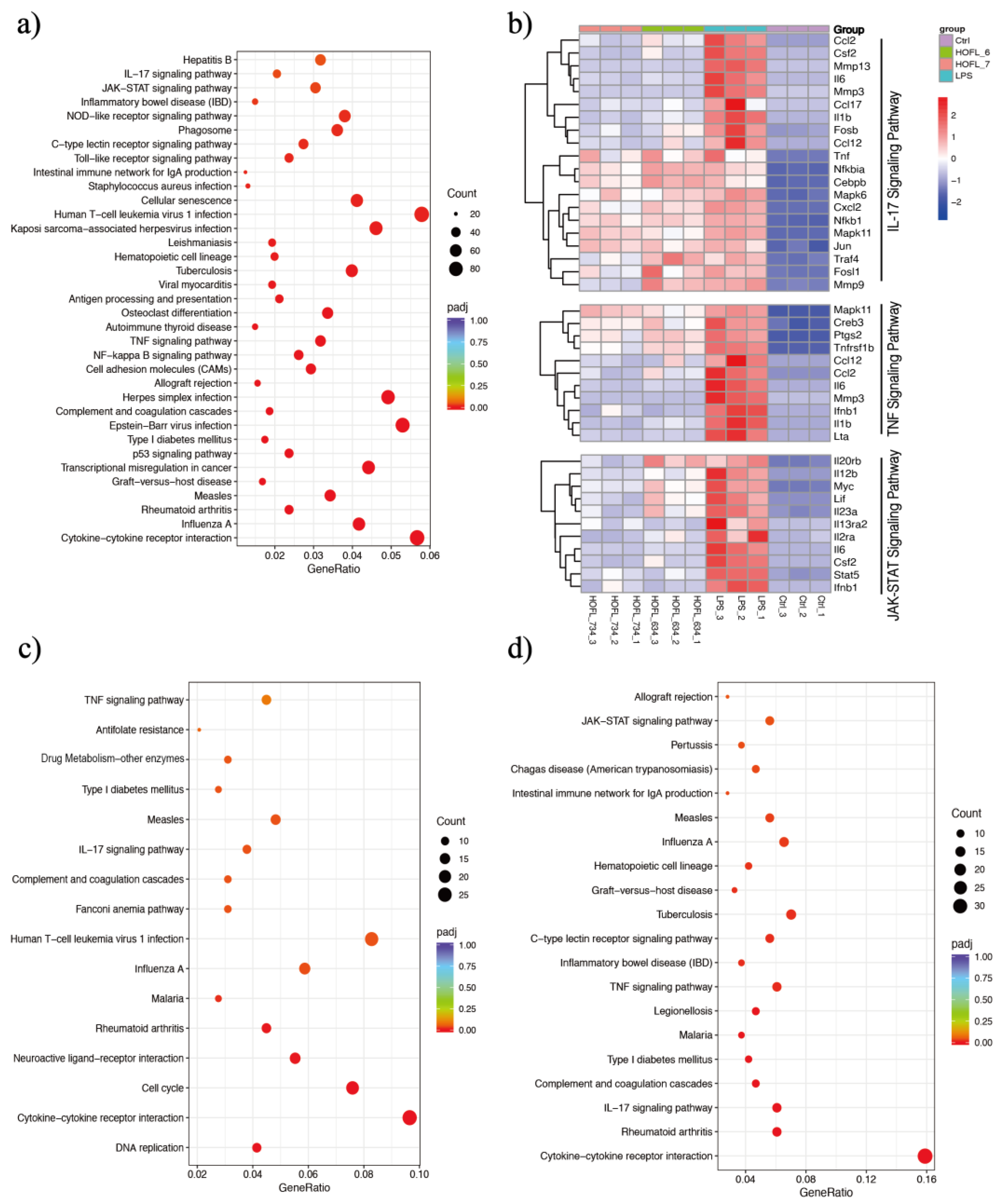 Antioxidants 12 00204 g004