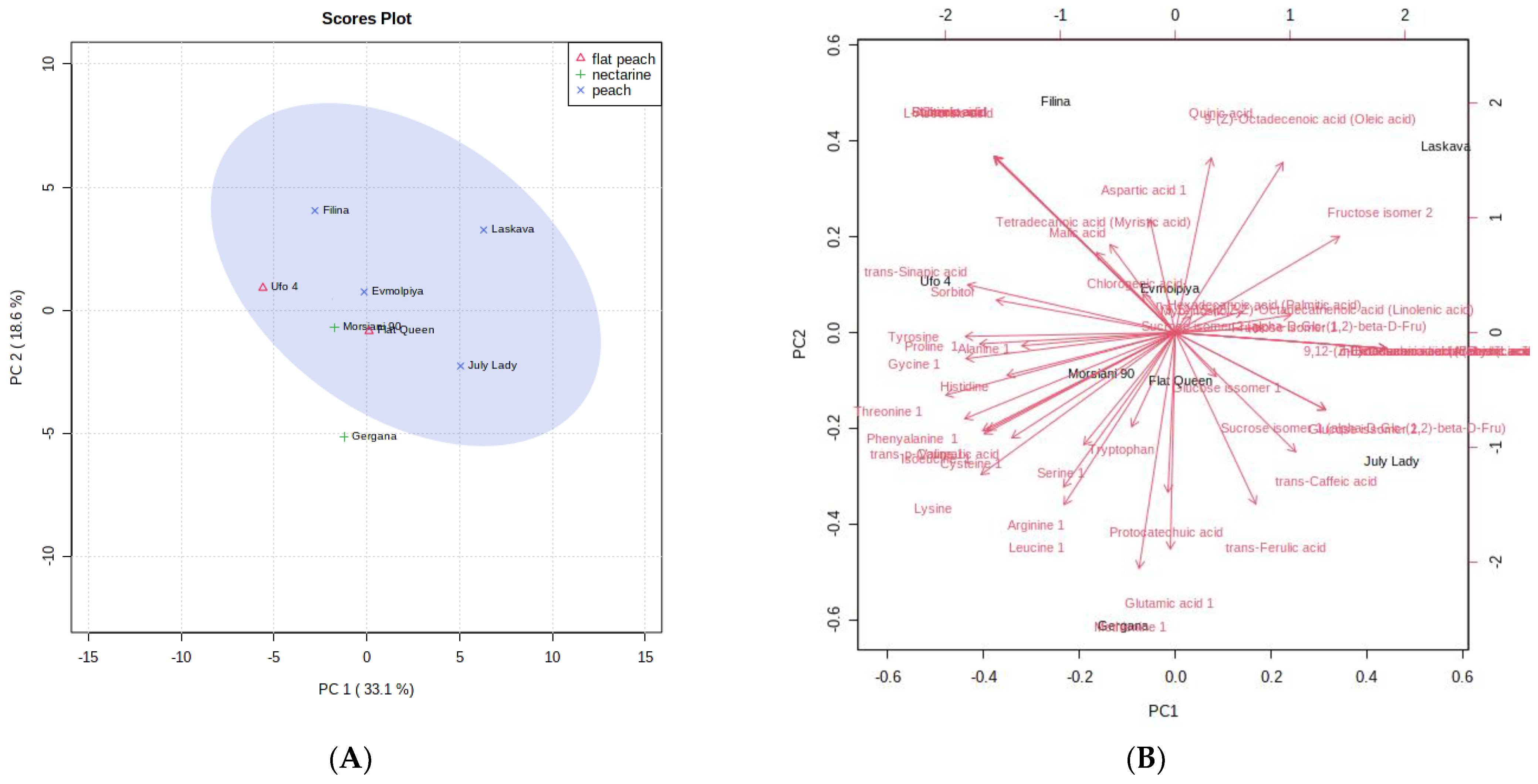 Antioxidants 12 00205 g003