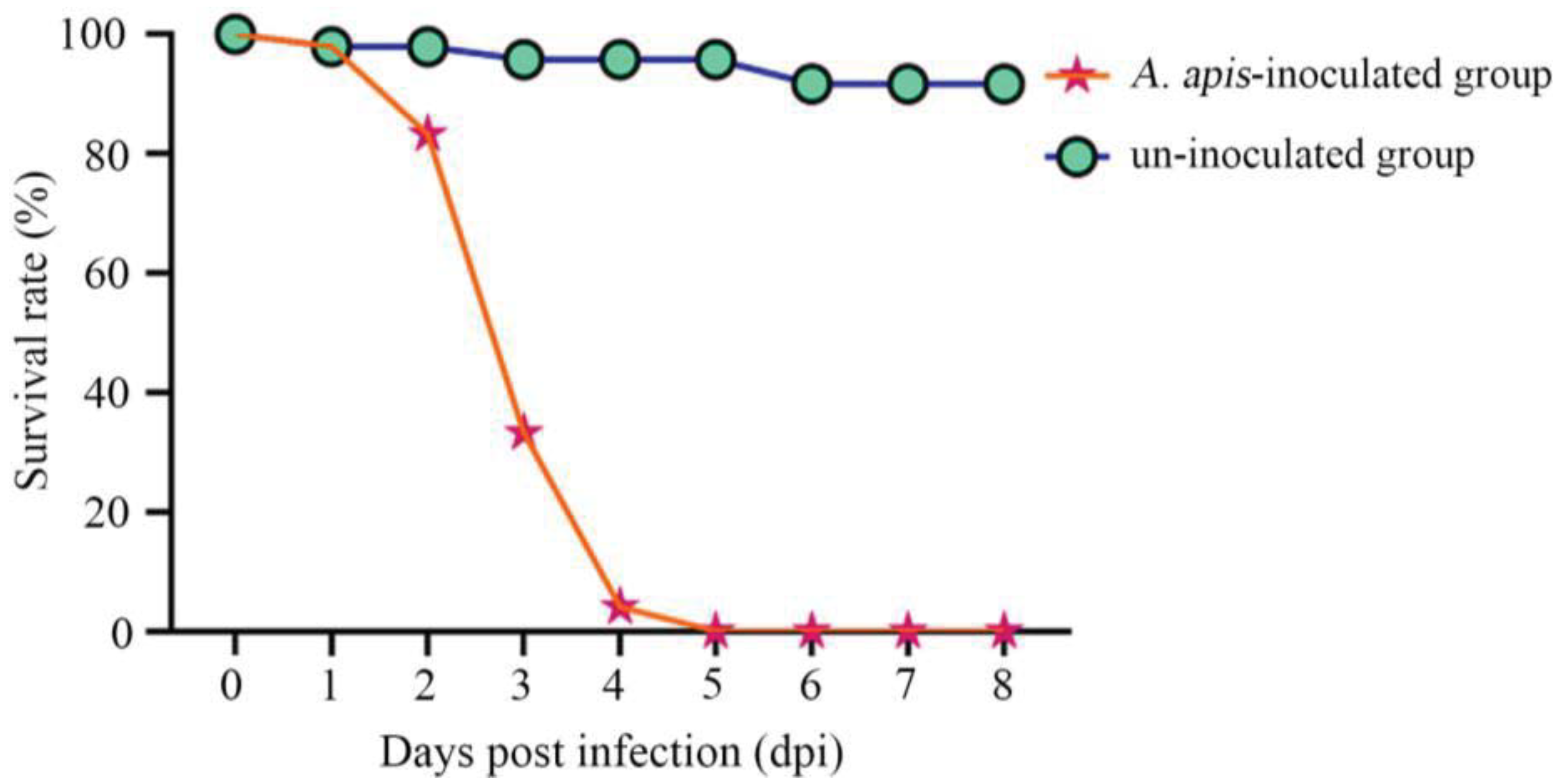 Antioxidants 12 00206 g002 Antioxidants 12 00206 g002