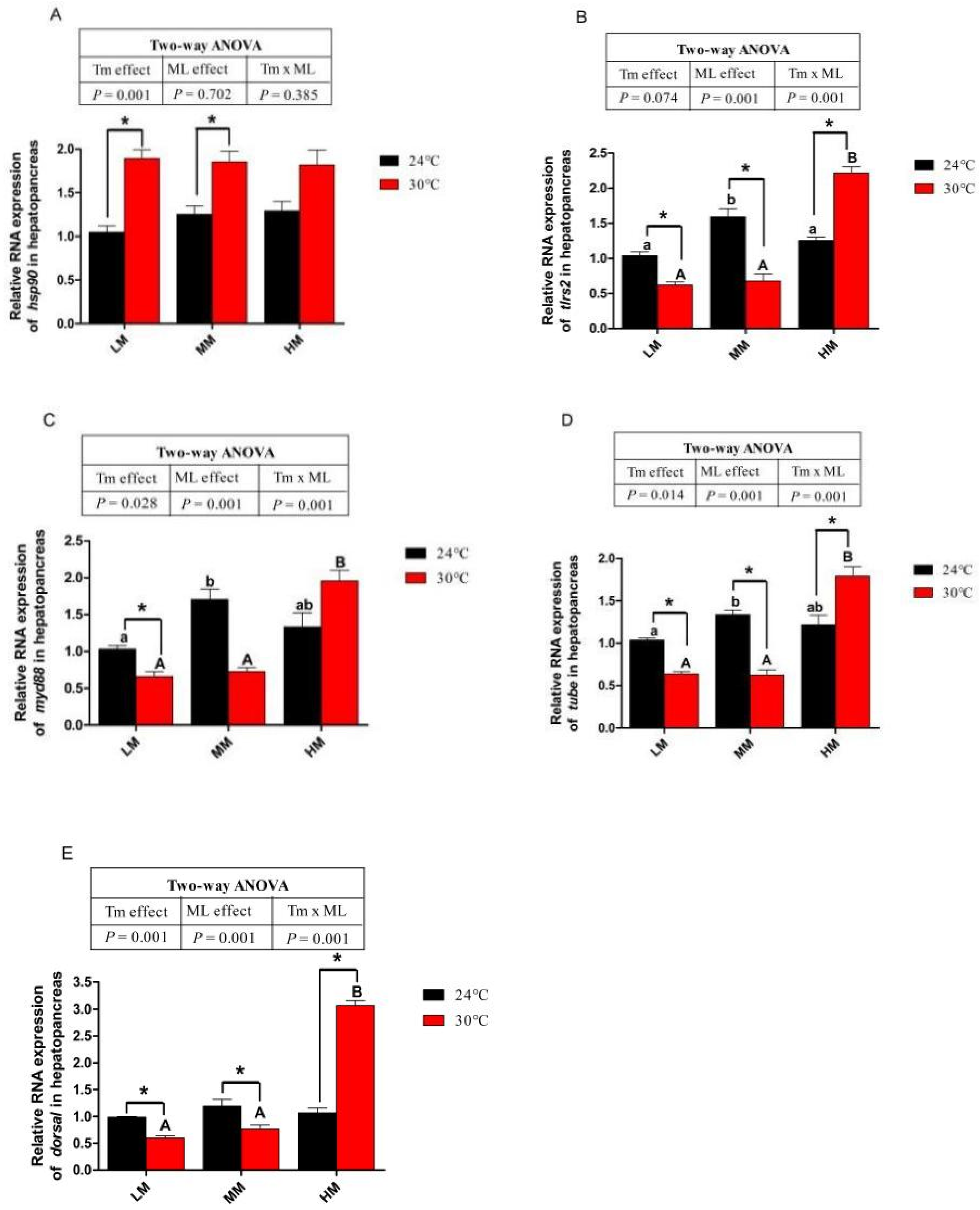 Antioxidants 12 00209 g006
