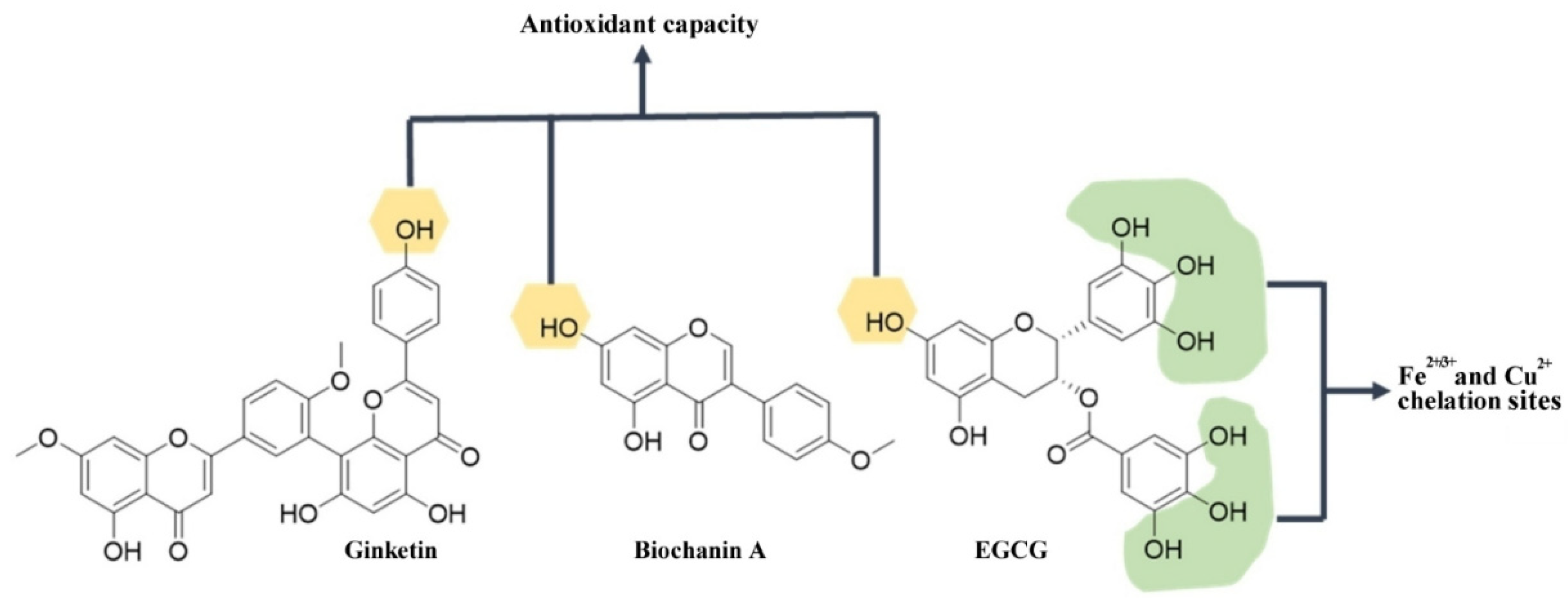 Antioxidants 12 00214 g003