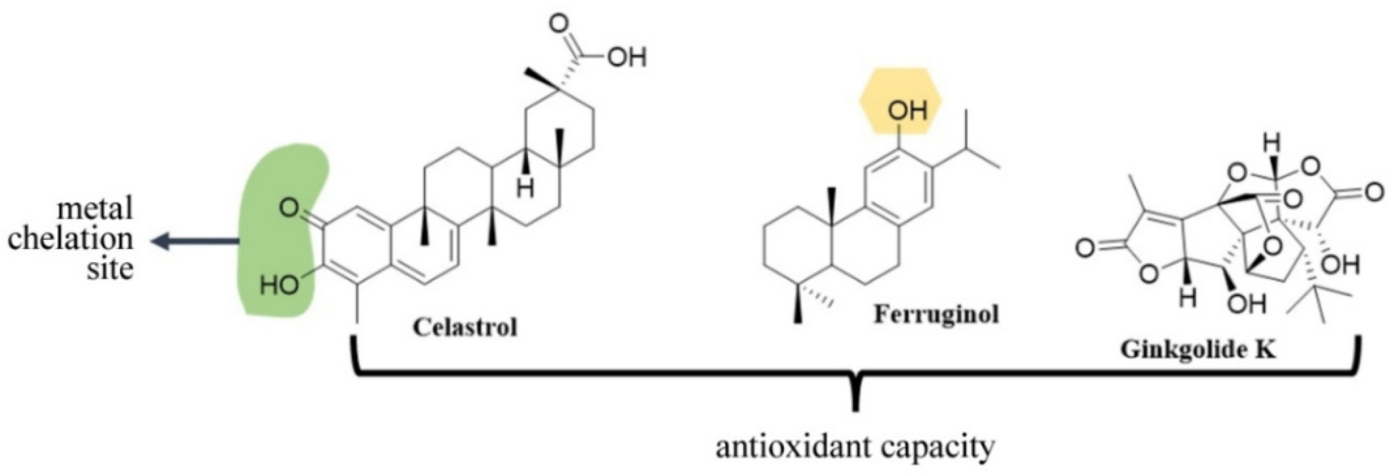 Antioxidants 12 00214 g008