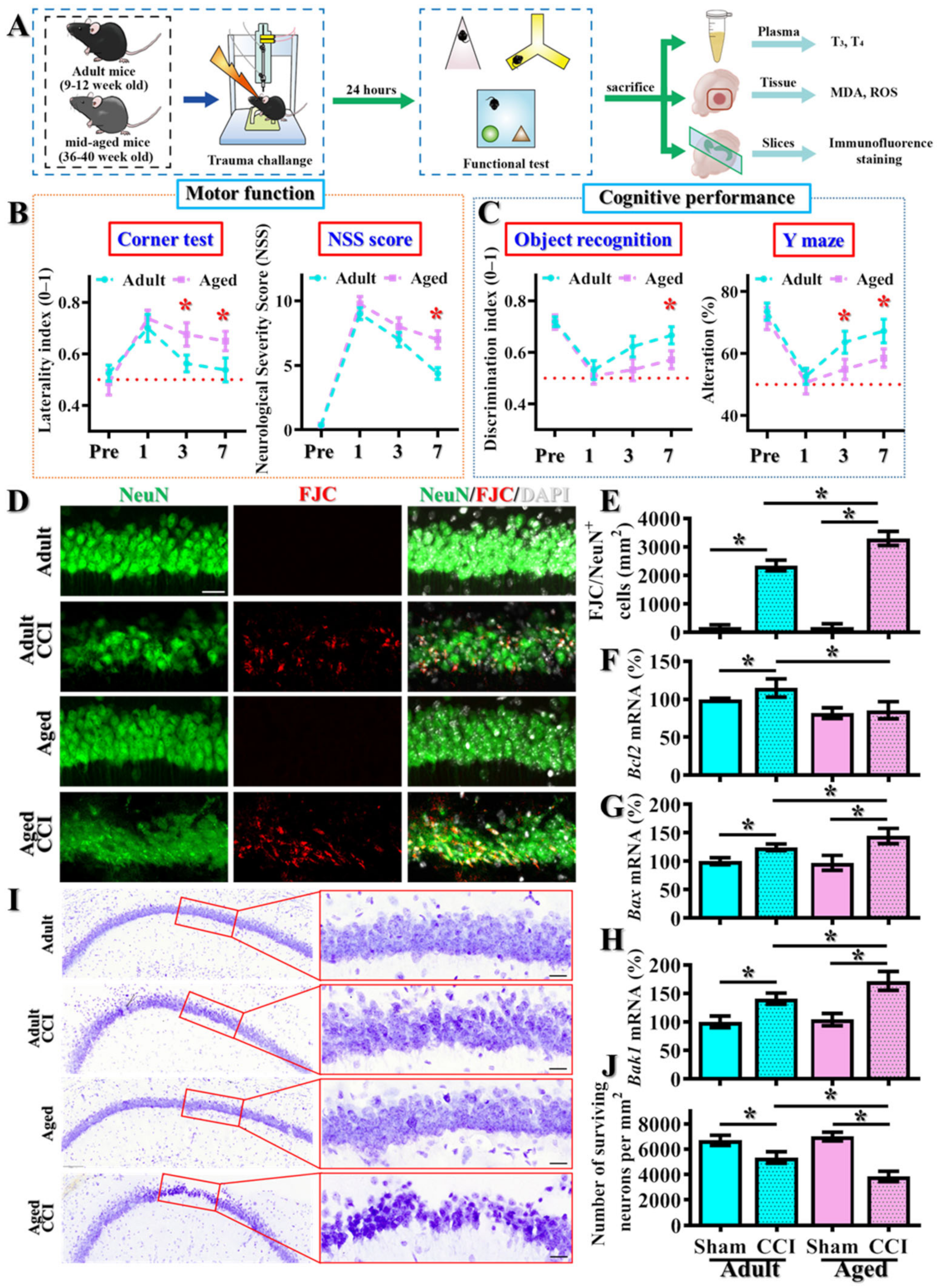 Antioxidants 12 00217 g001