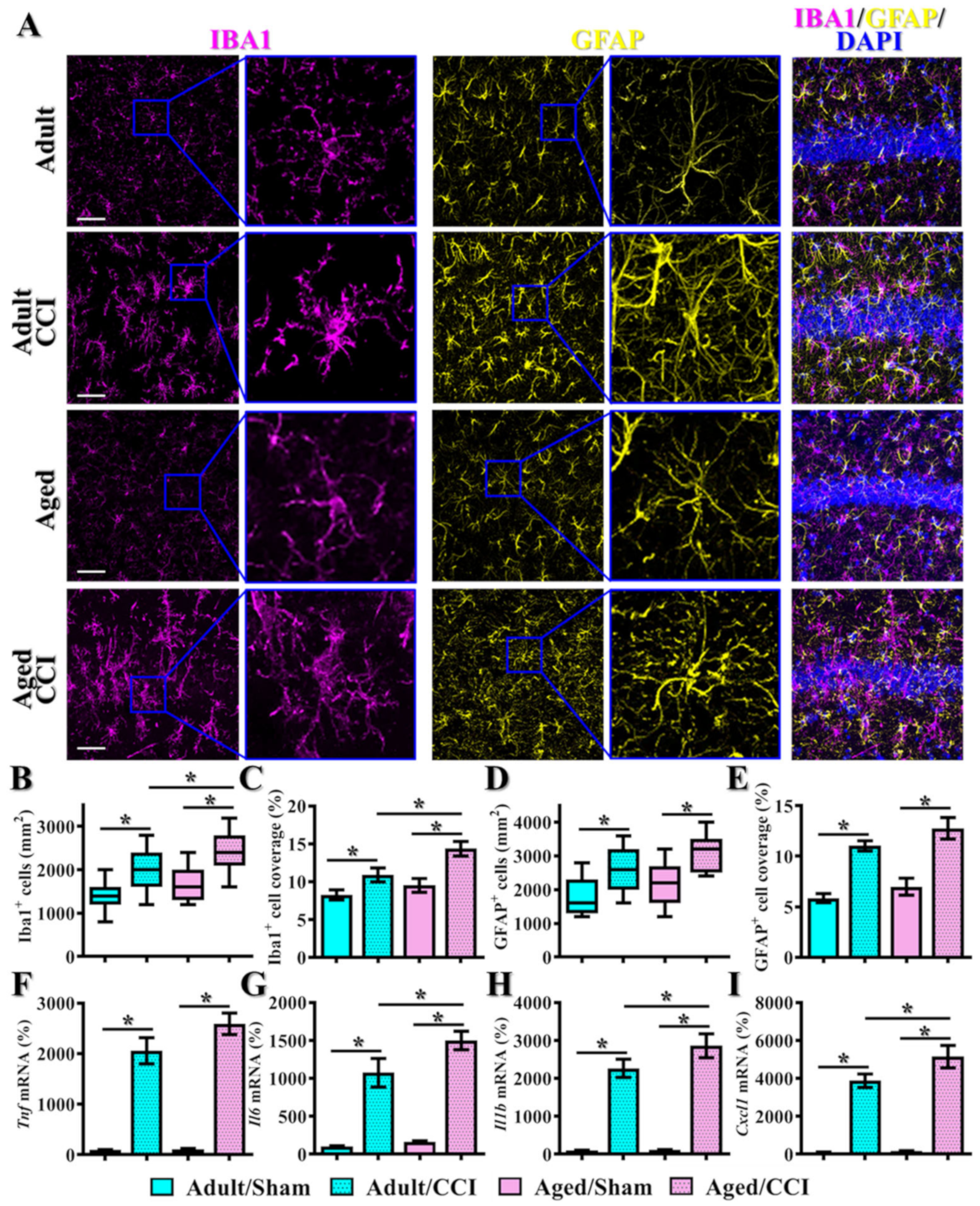 Antioxidants 12 00217 g002