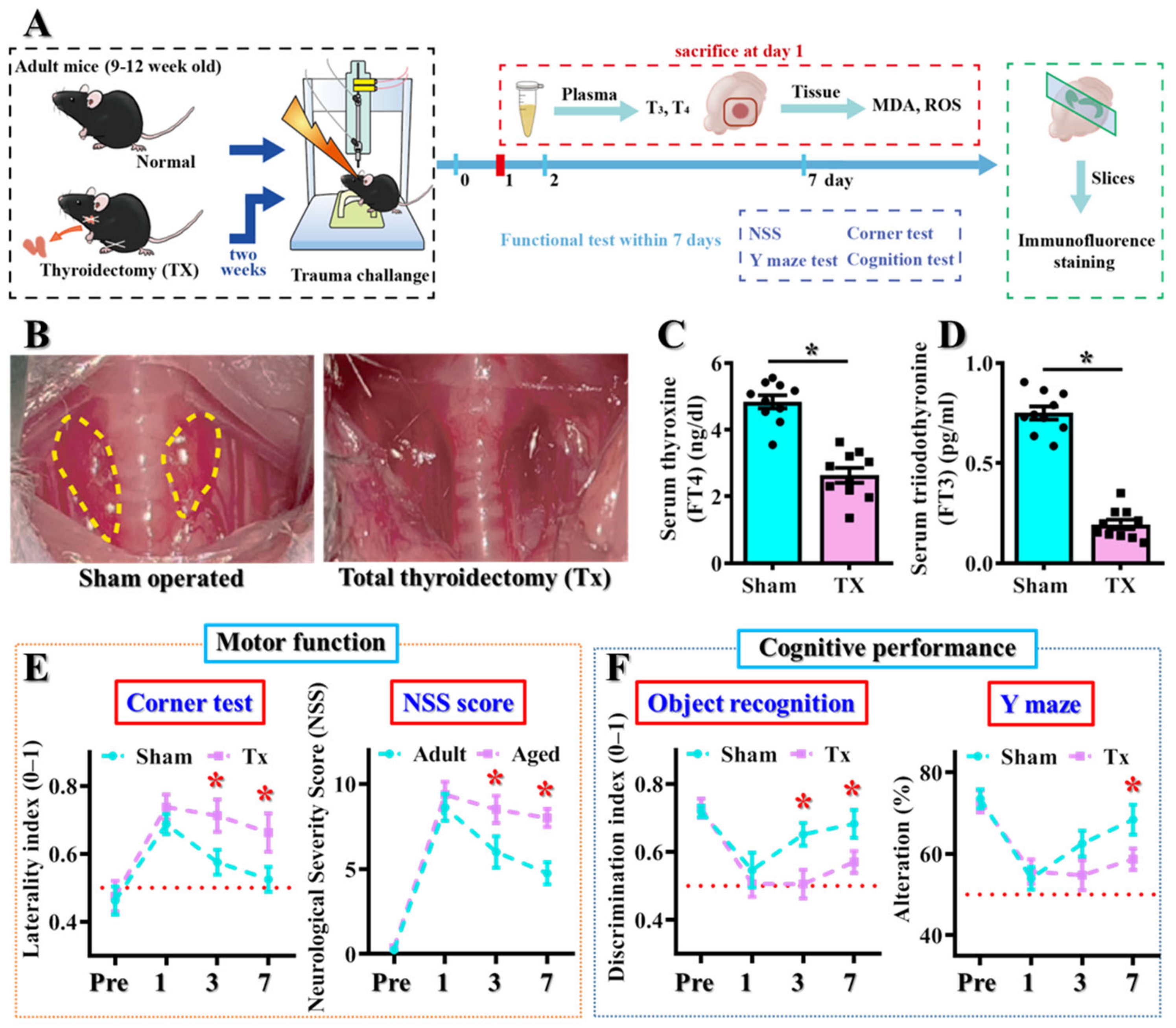 Antioxidants 12 00217 g004