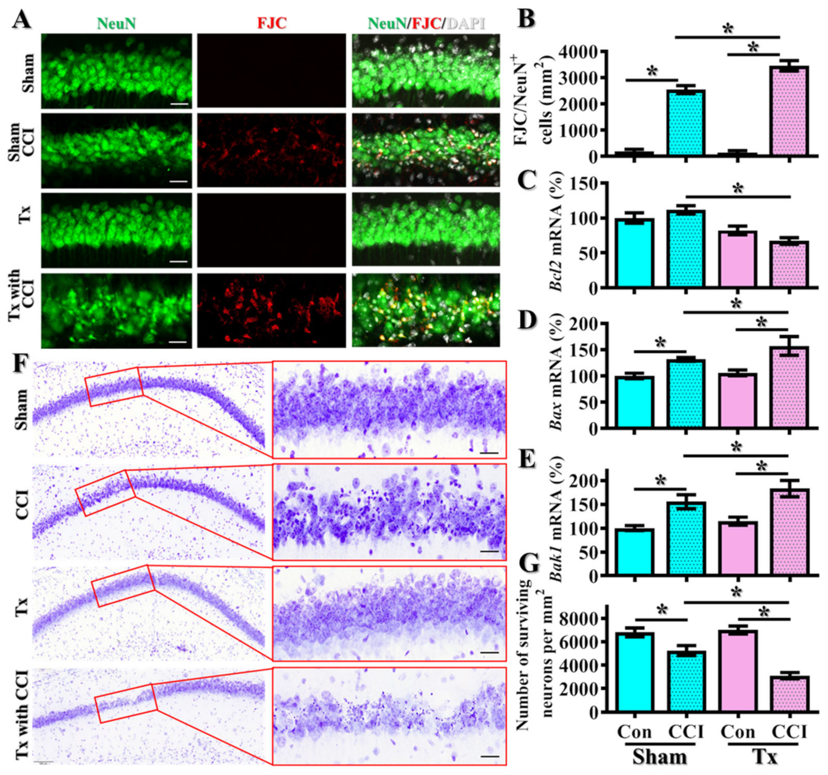 Antioxidants 12 00217 g005