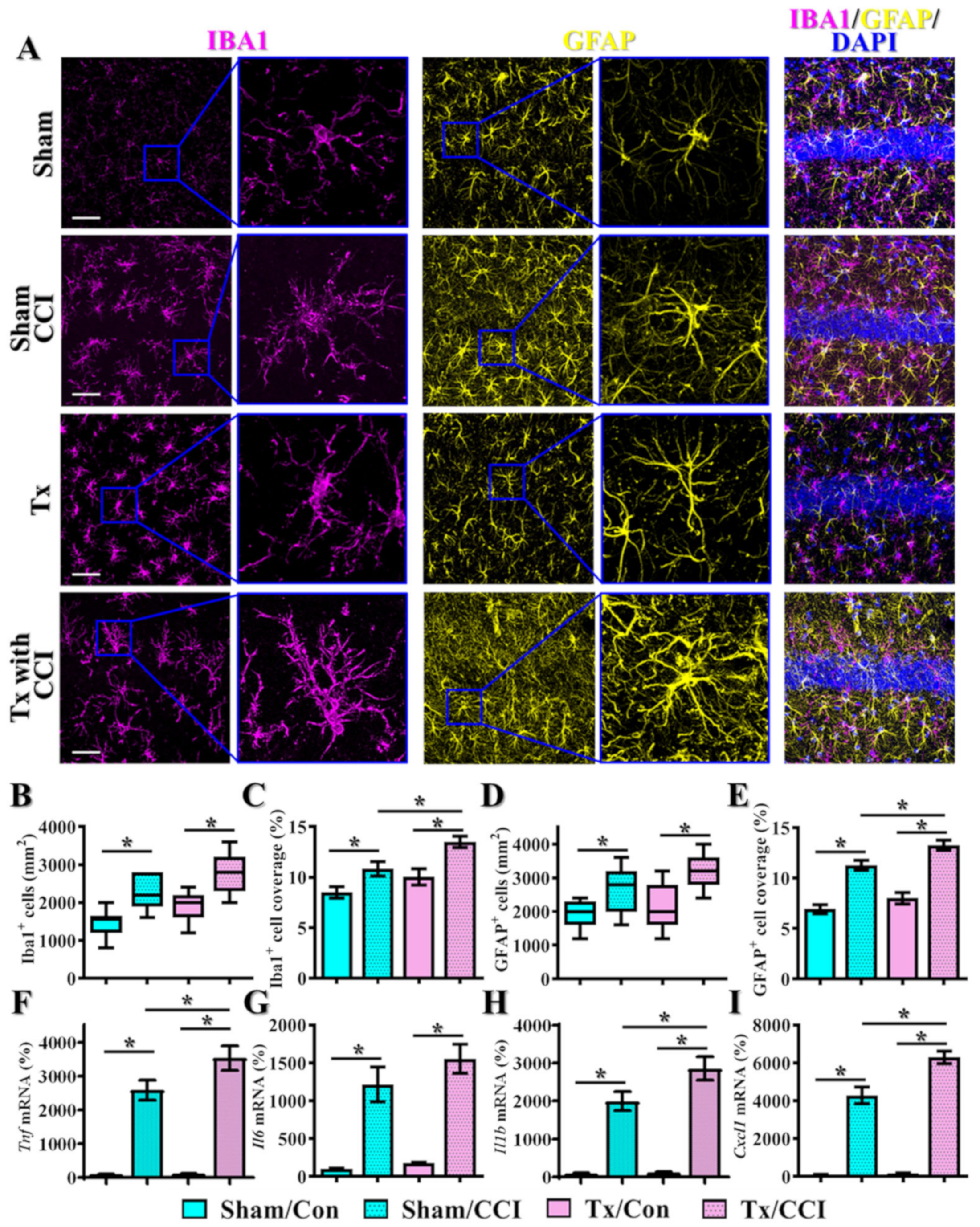 Antioxidants 12 00217 g006