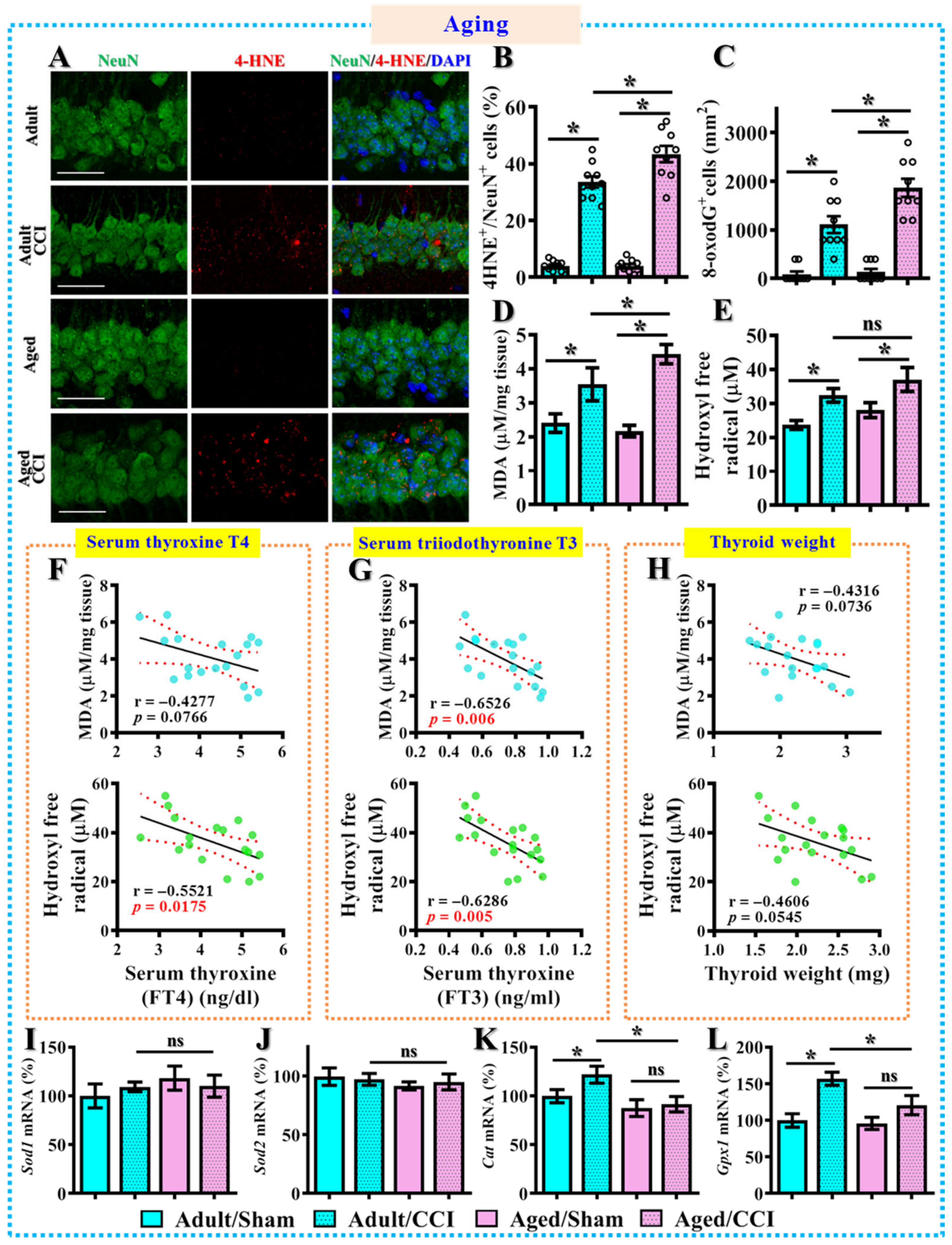 Antioxidants 12 00217 g008