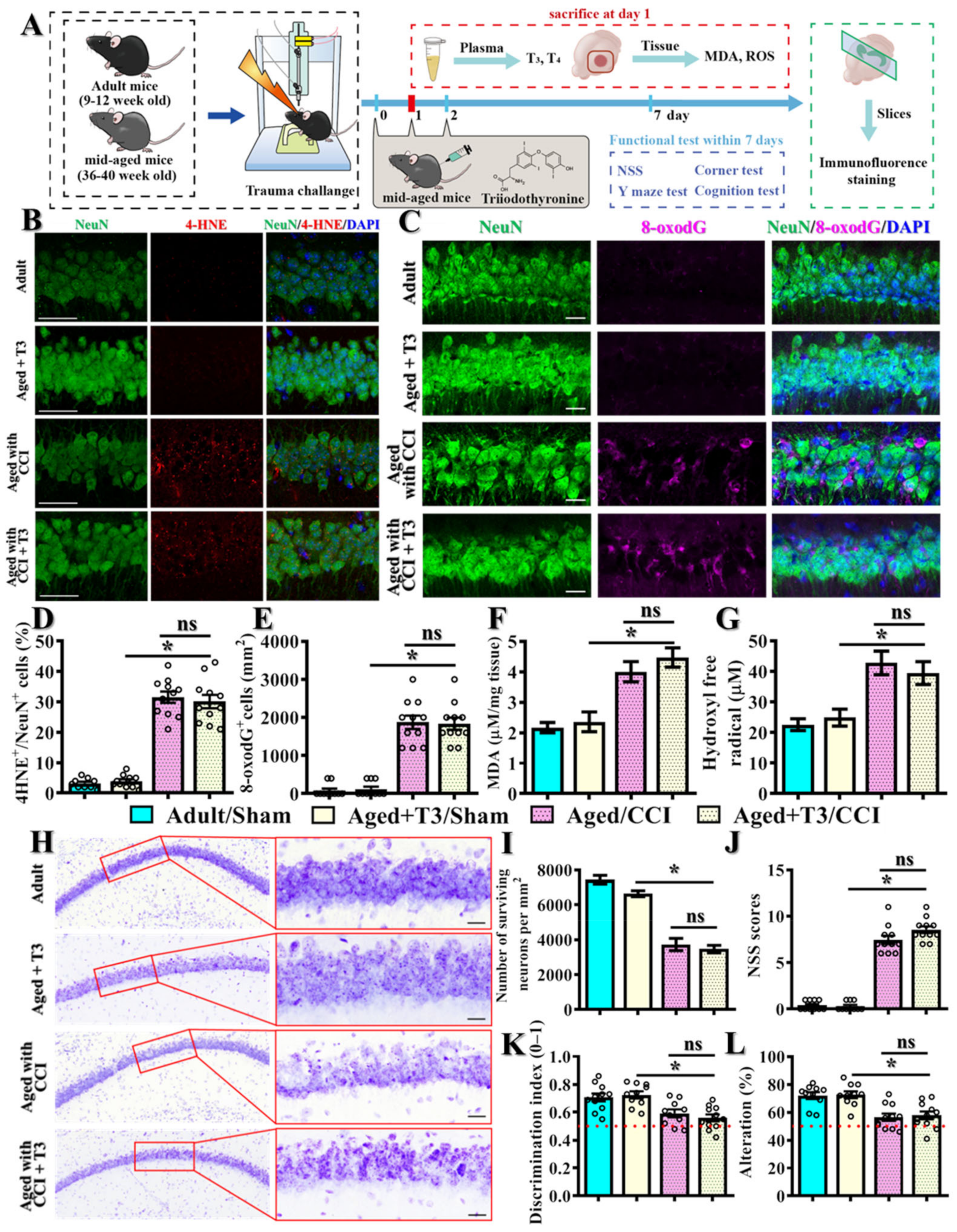 Antioxidants 12 00217 g009