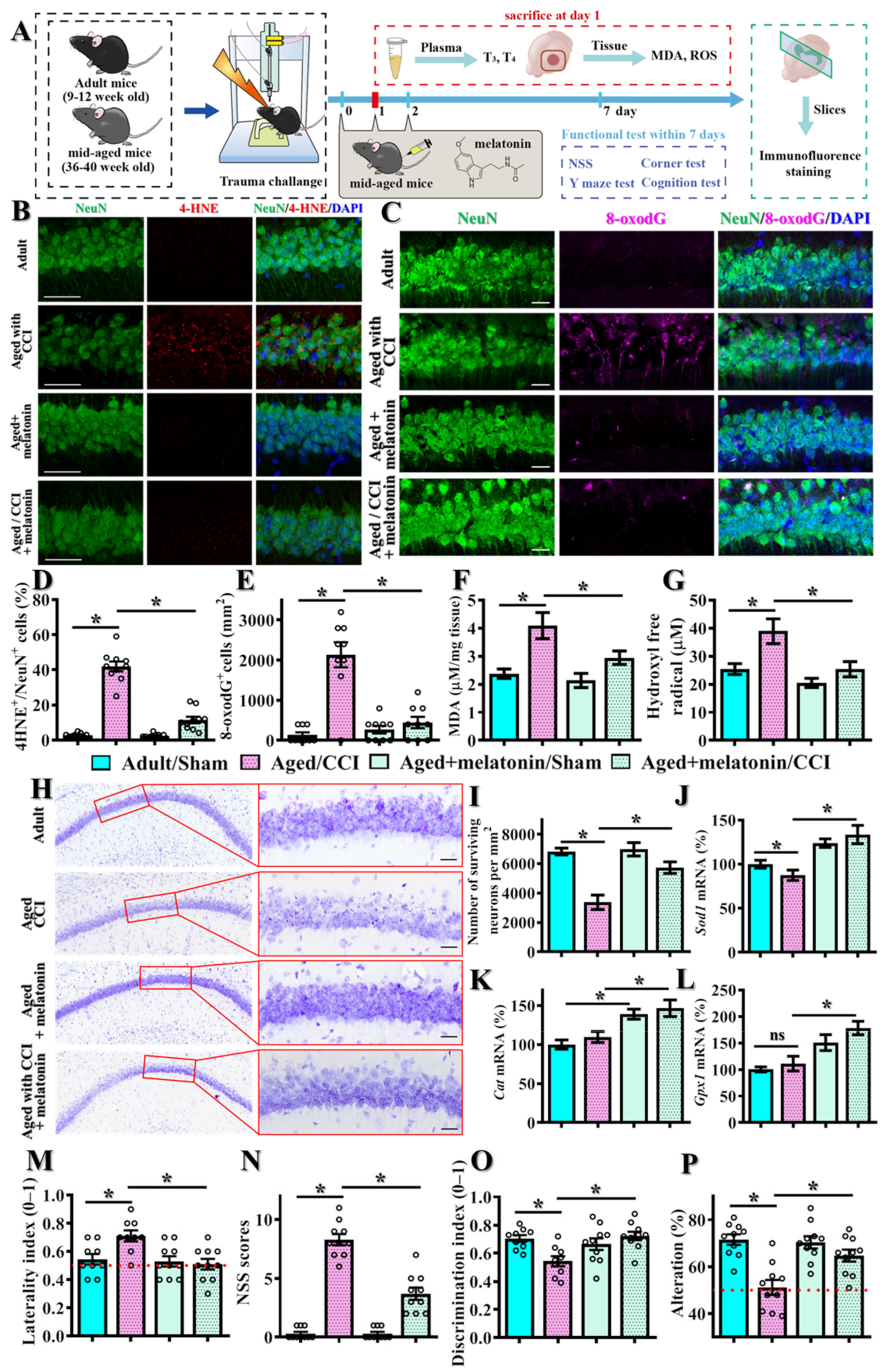 Antioxidants 12 00217 g010