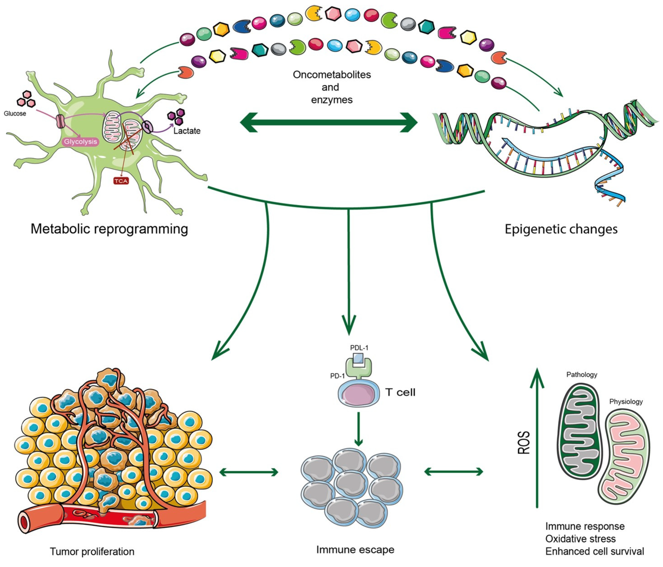 Antioxidants 12 00220 g001