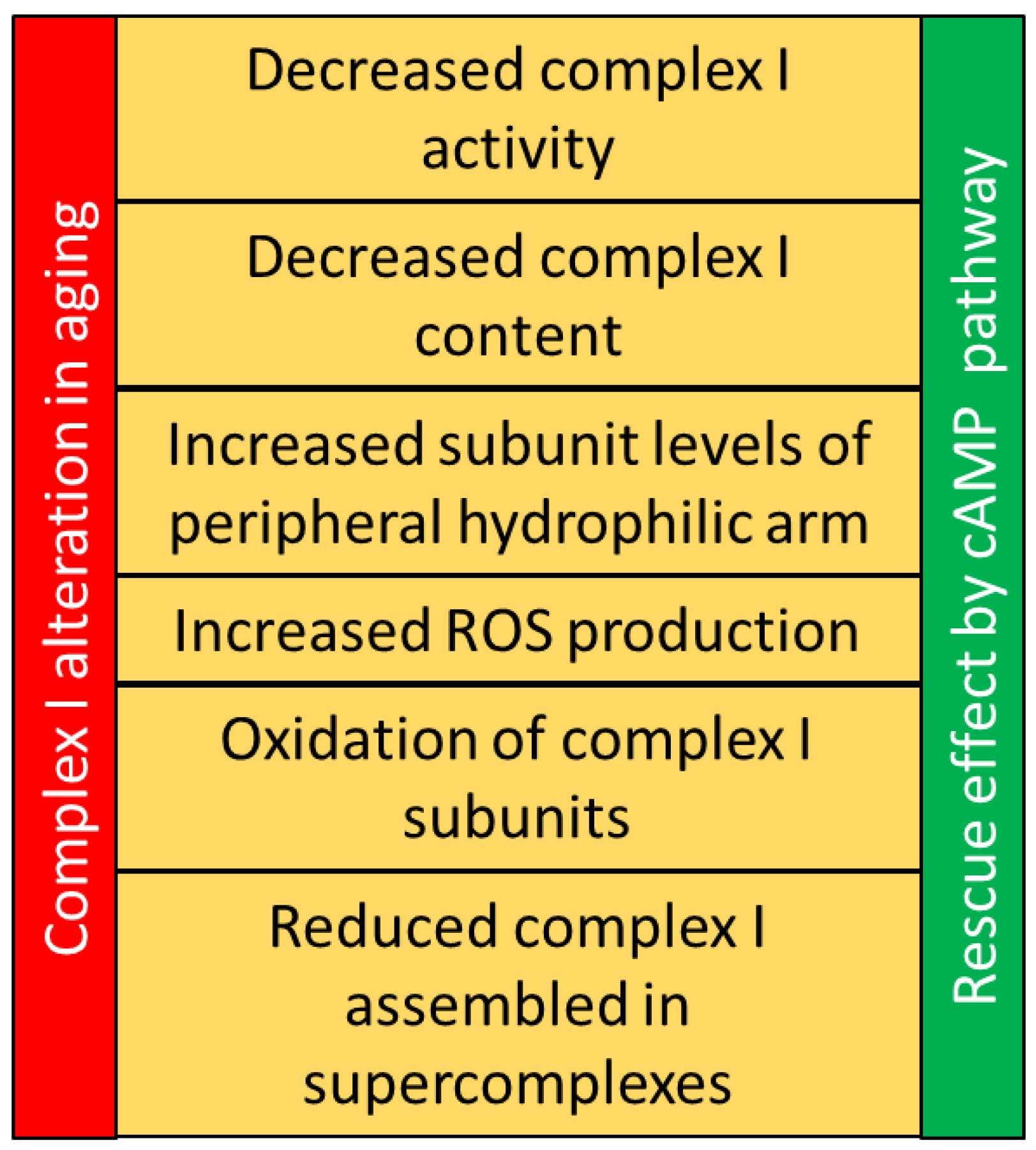 Antioxidants 12 00221 g002