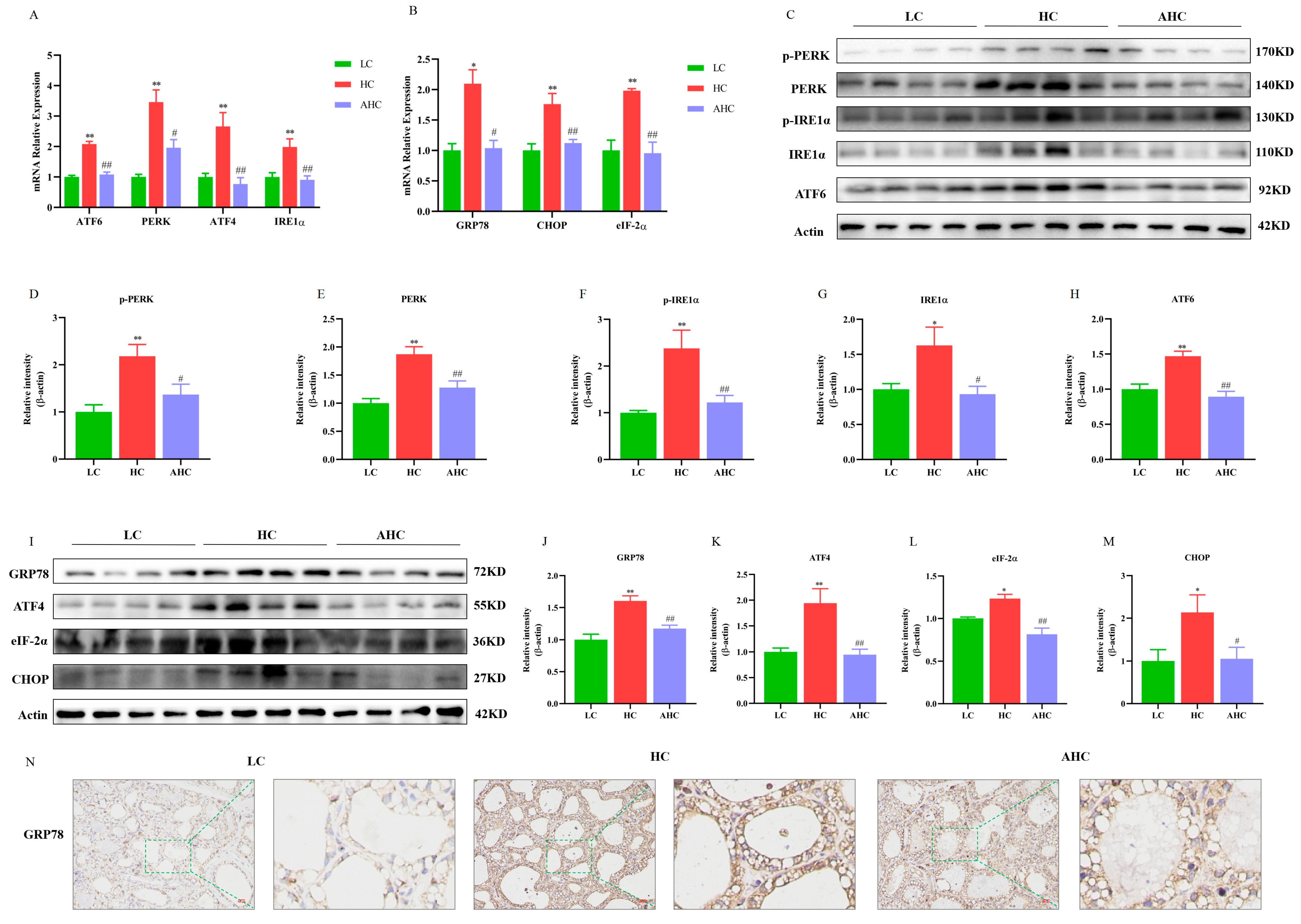Antioxidants 12 00223 g002