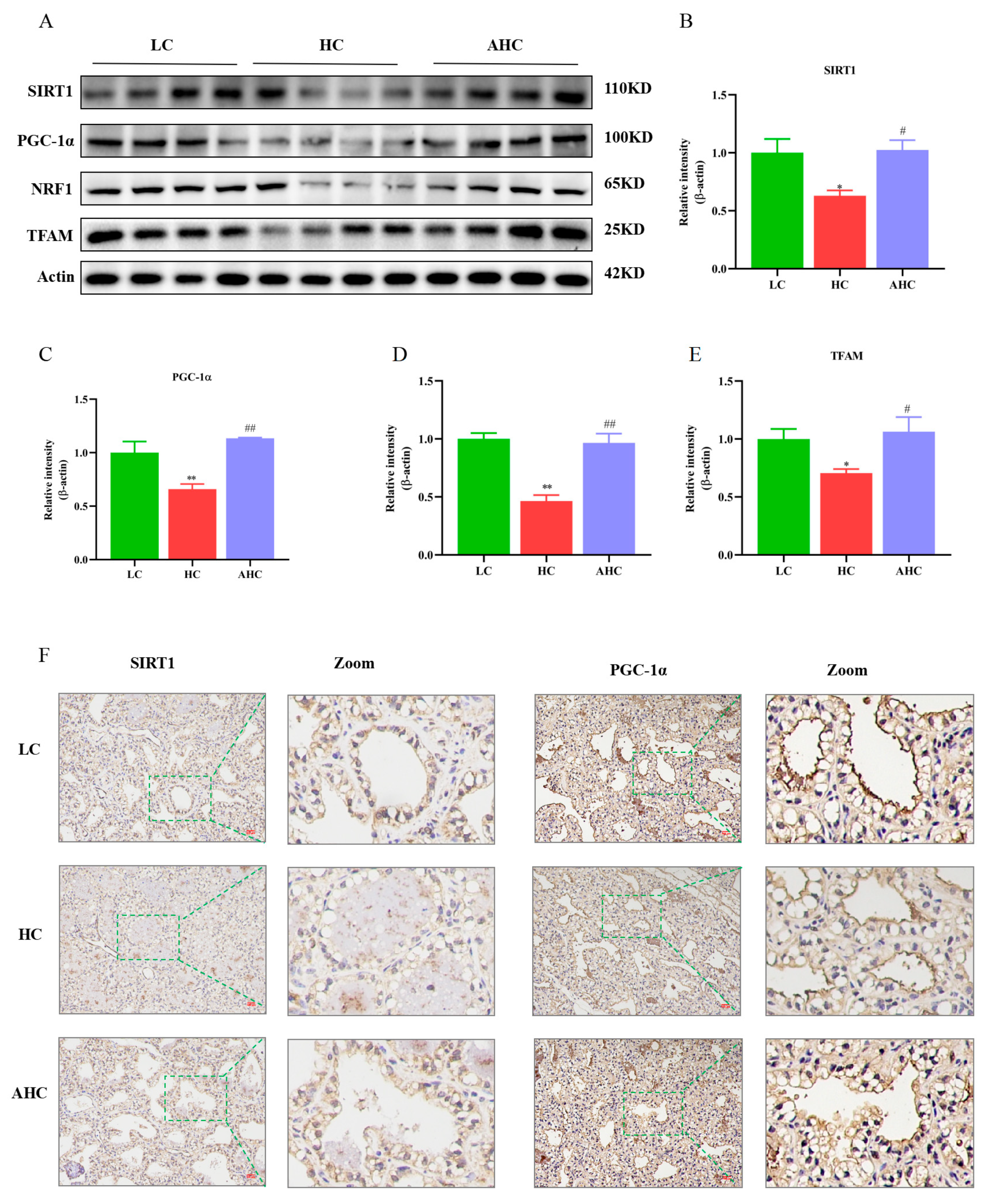 Antioxidants 12 00223 g004