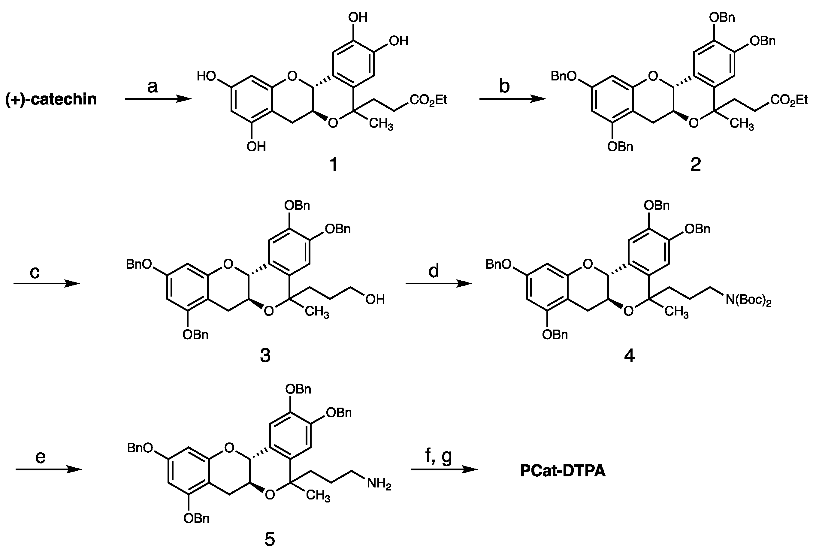 Antioxidants 12 00225 g002
