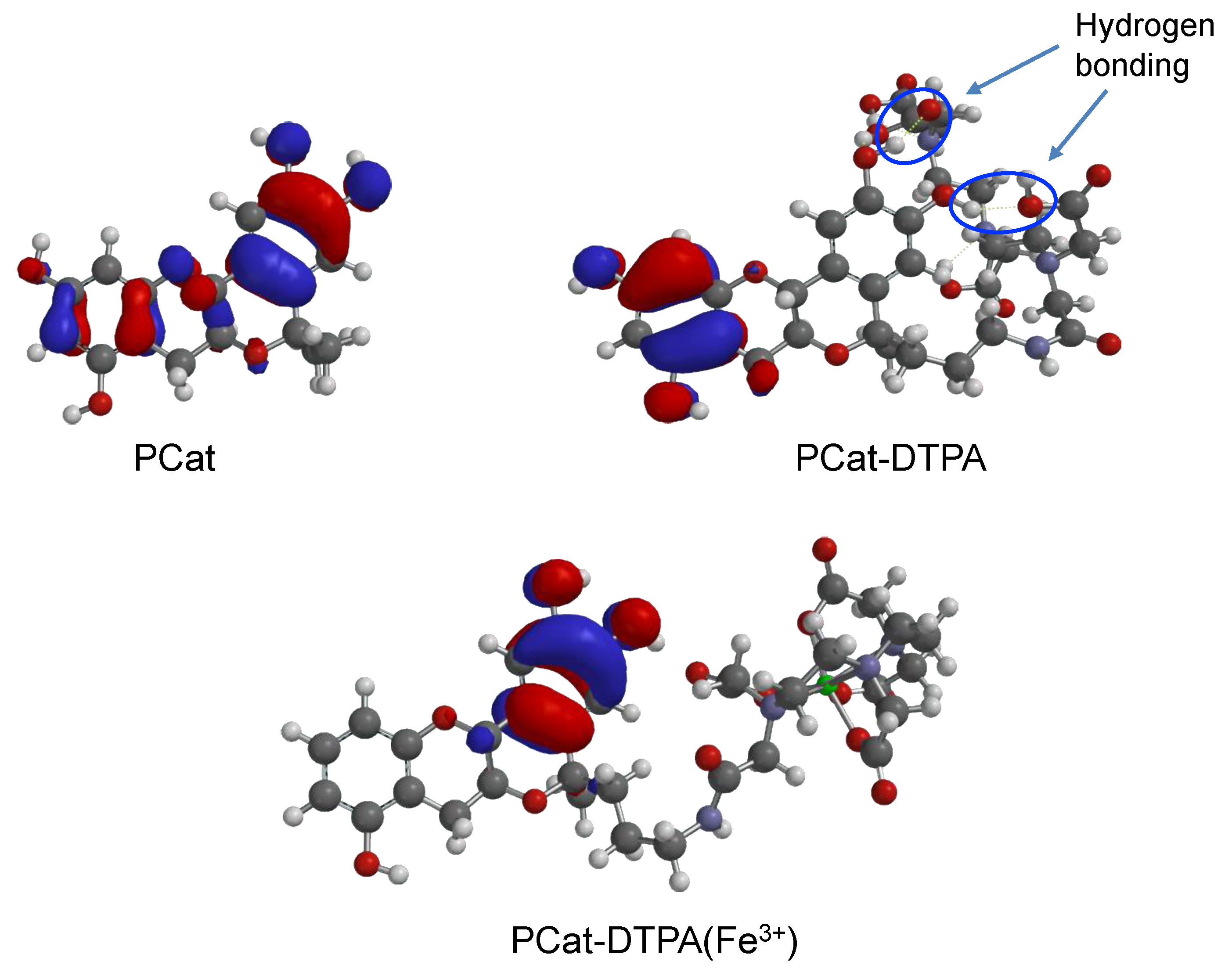 Antioxidants 12 00225 g006