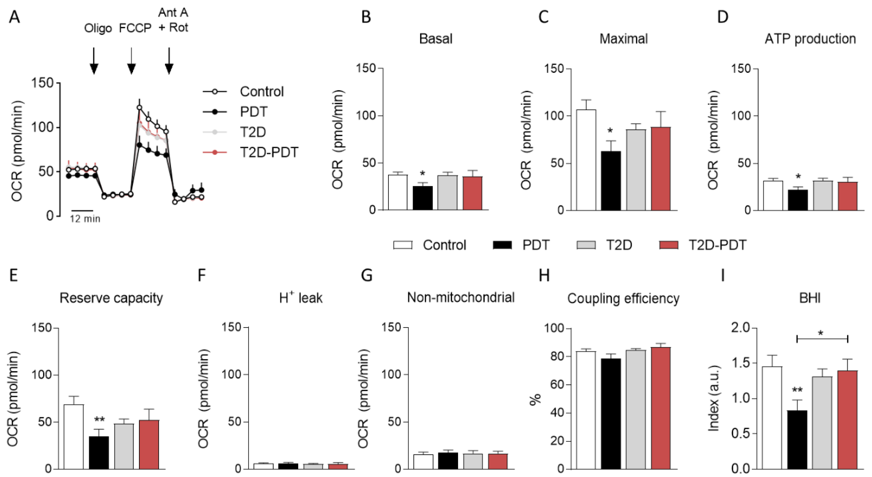 Antioxidants 12 00226 g002