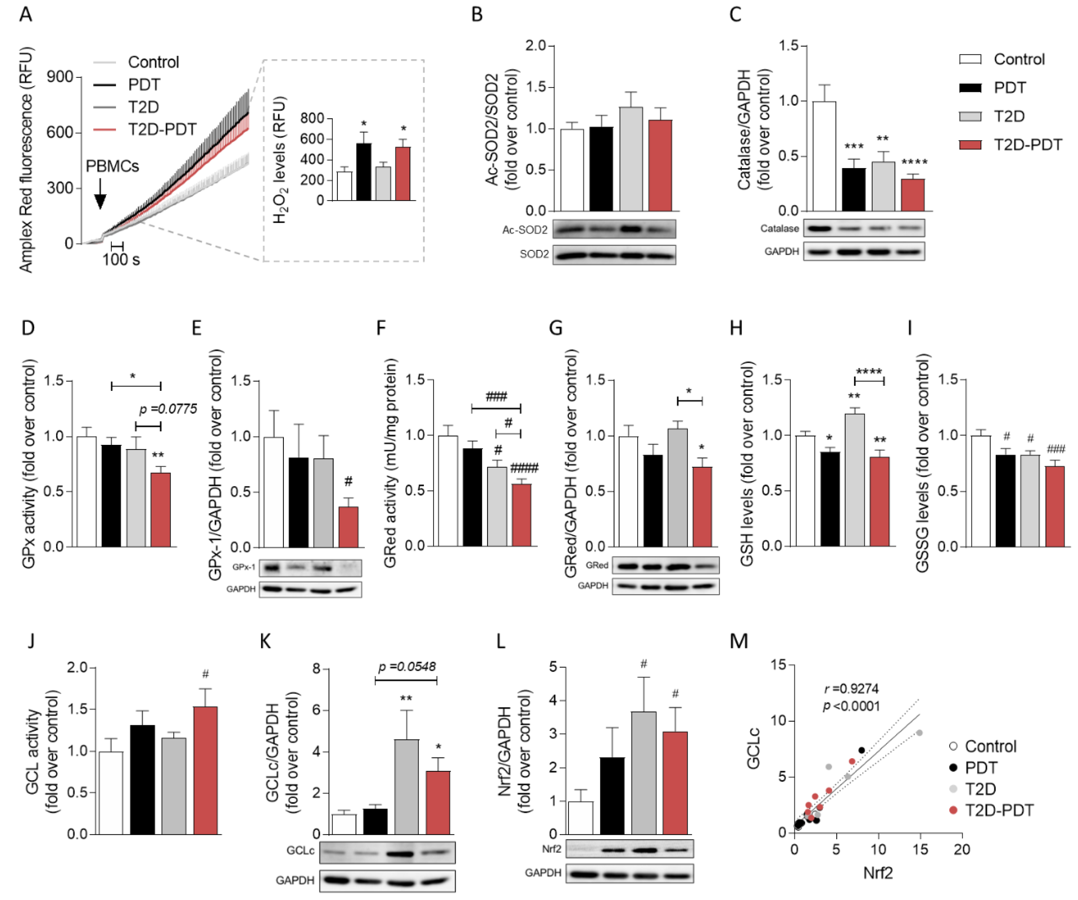 Antioxidants 12 00226 g003