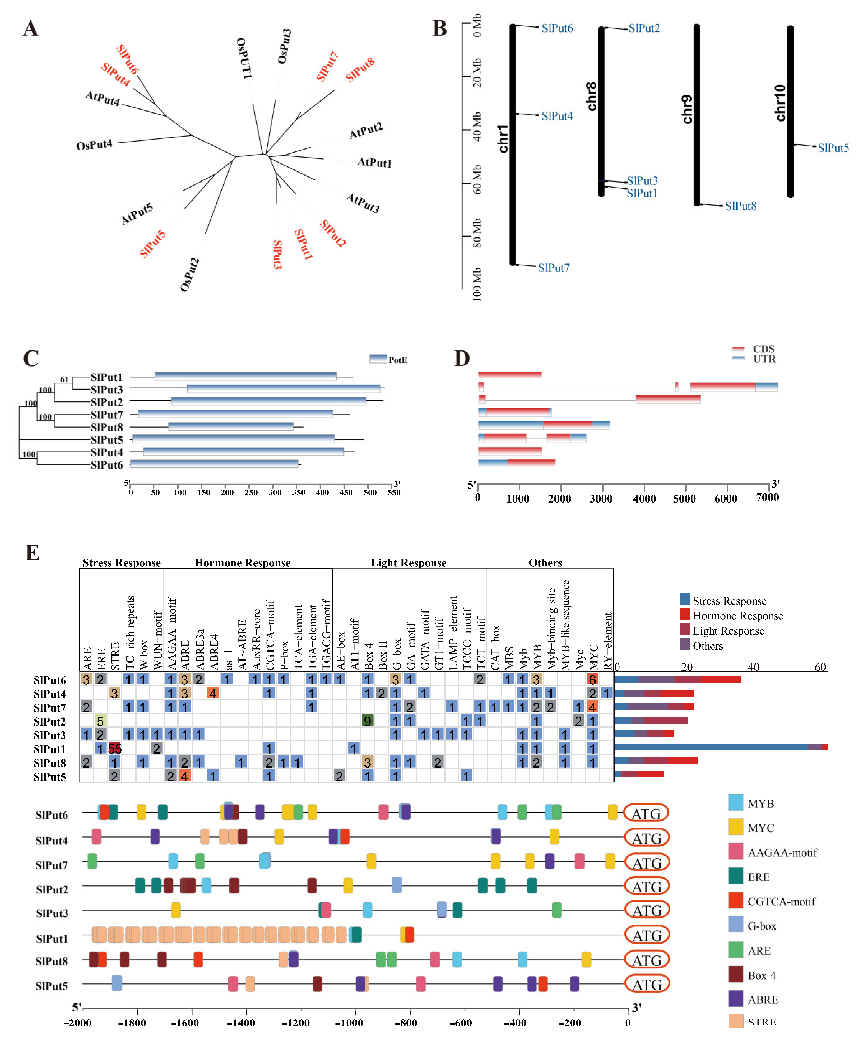 Antioxidants 12 00228 g001