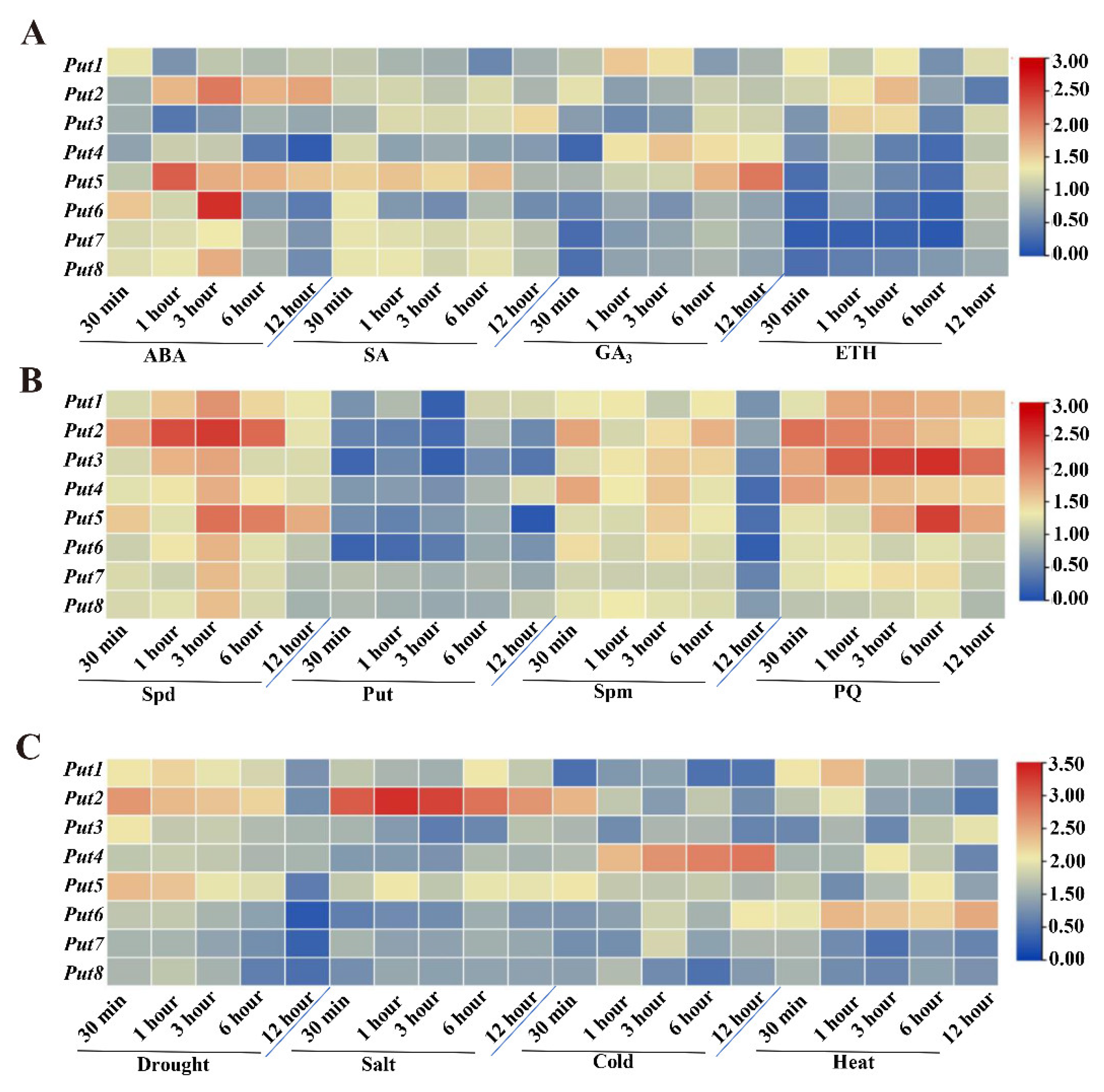 Antioxidants 12 00228 g002