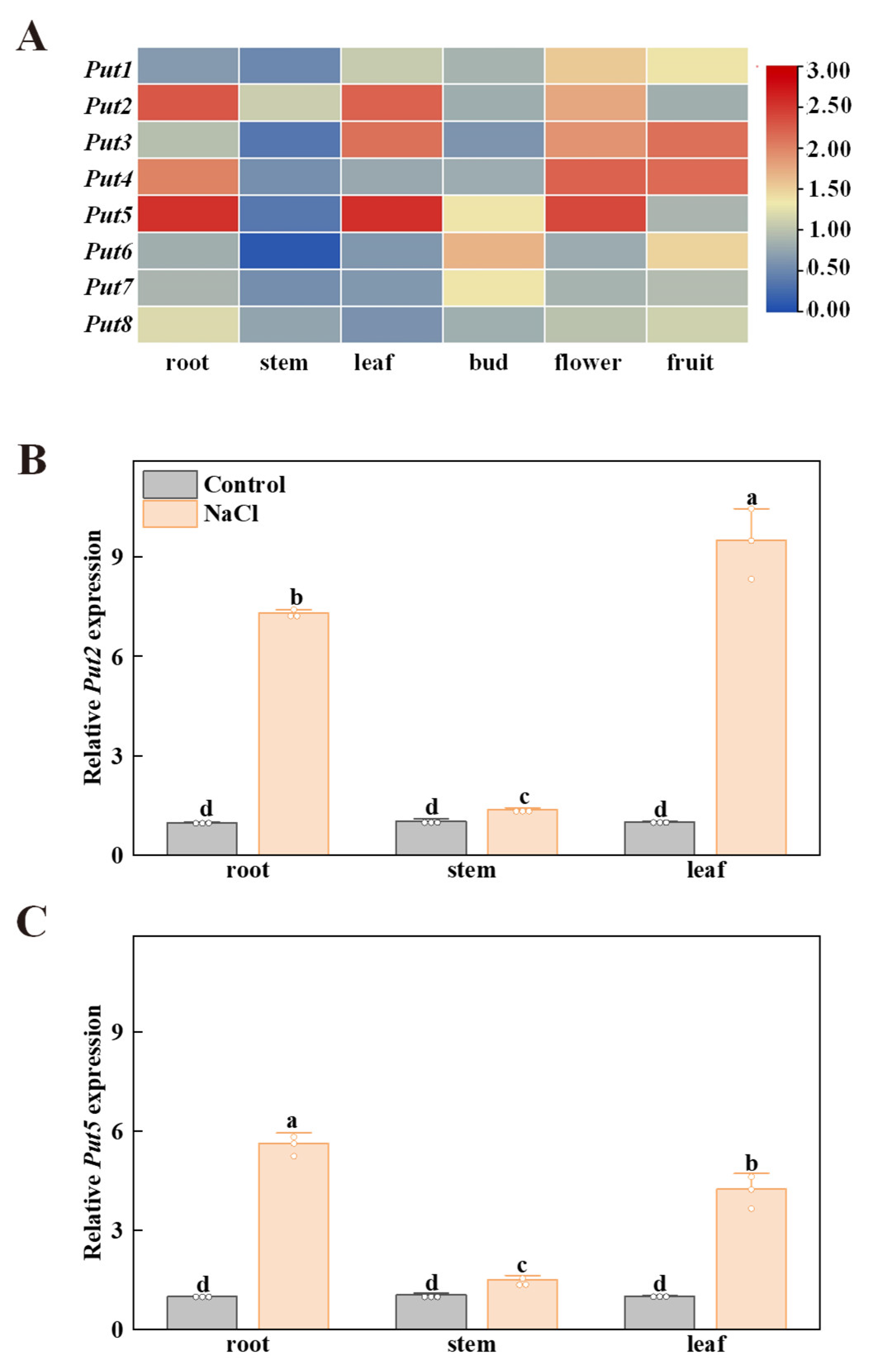 Antioxidants 12 00228 g003