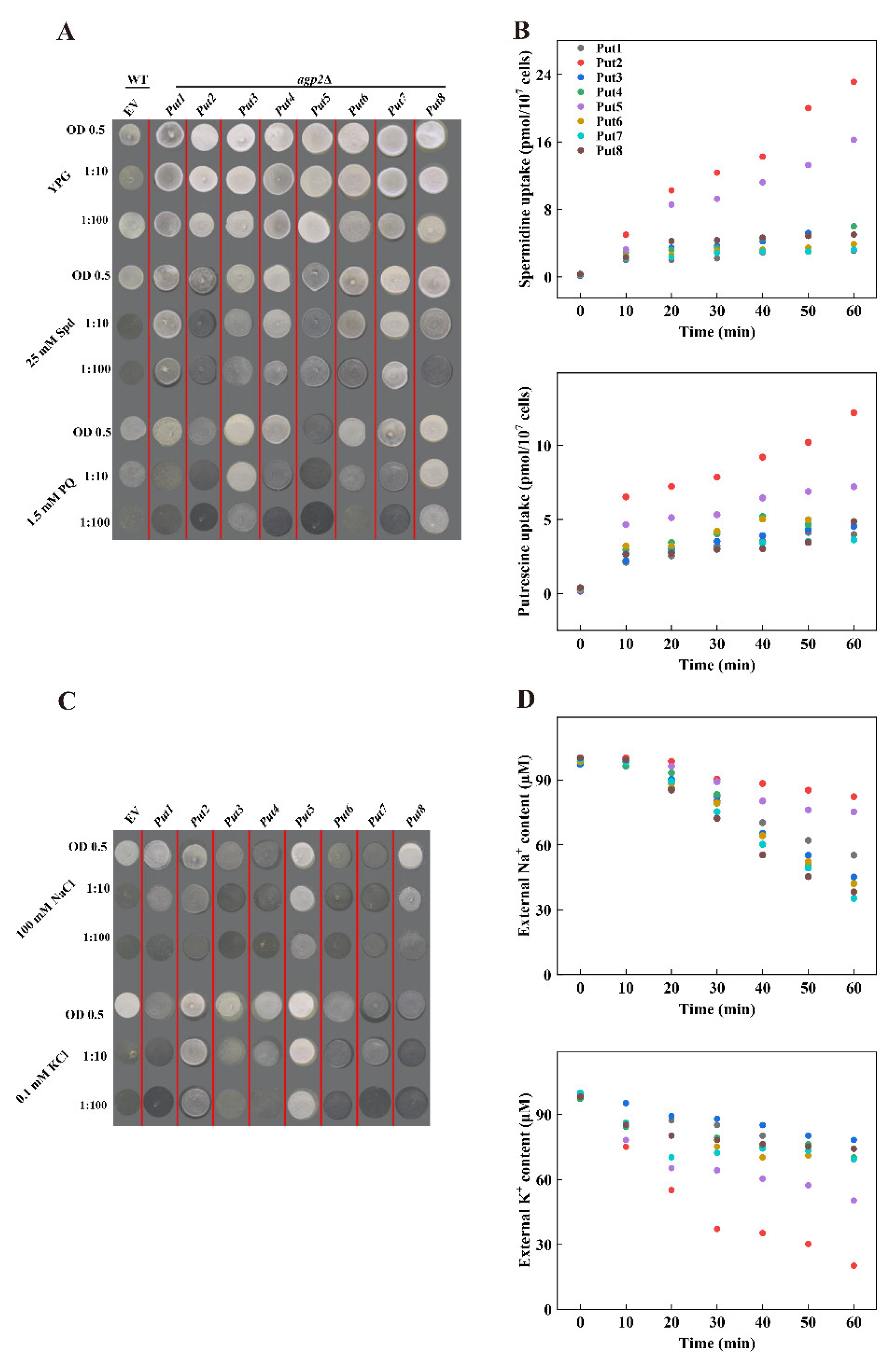 Antioxidants 12 00228 g004