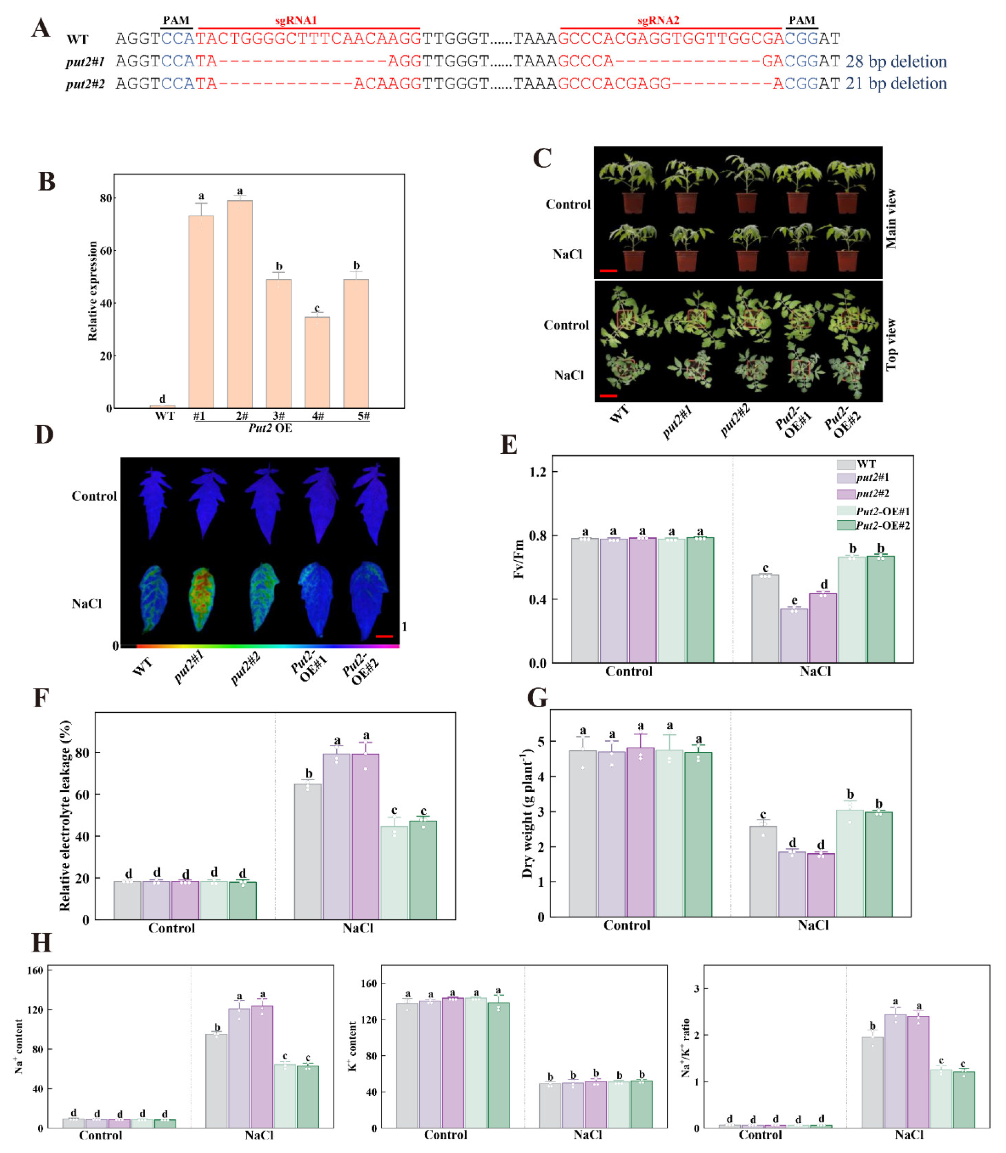 Antioxidants 12 00228 g005