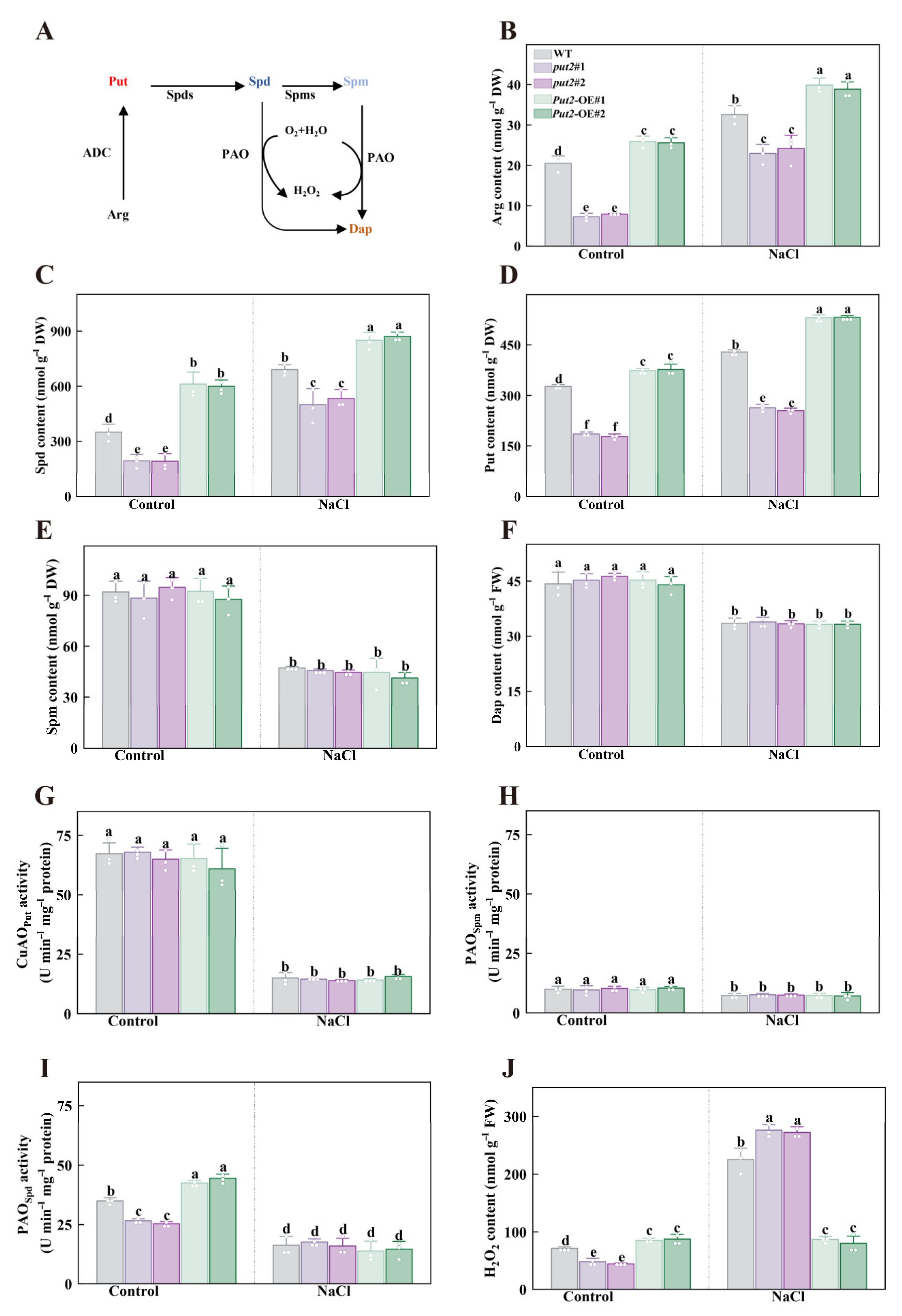 Antioxidants 12 00228 g006