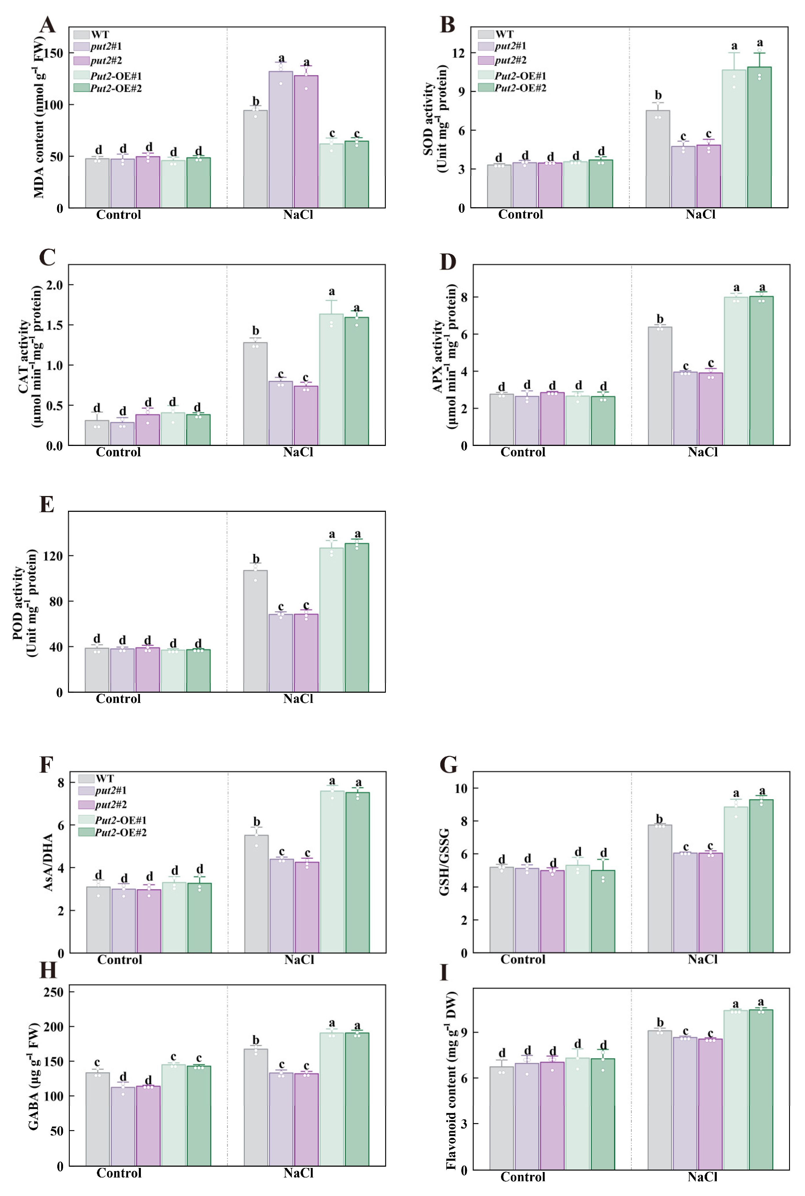 Antioxidants 12 00228 g007
