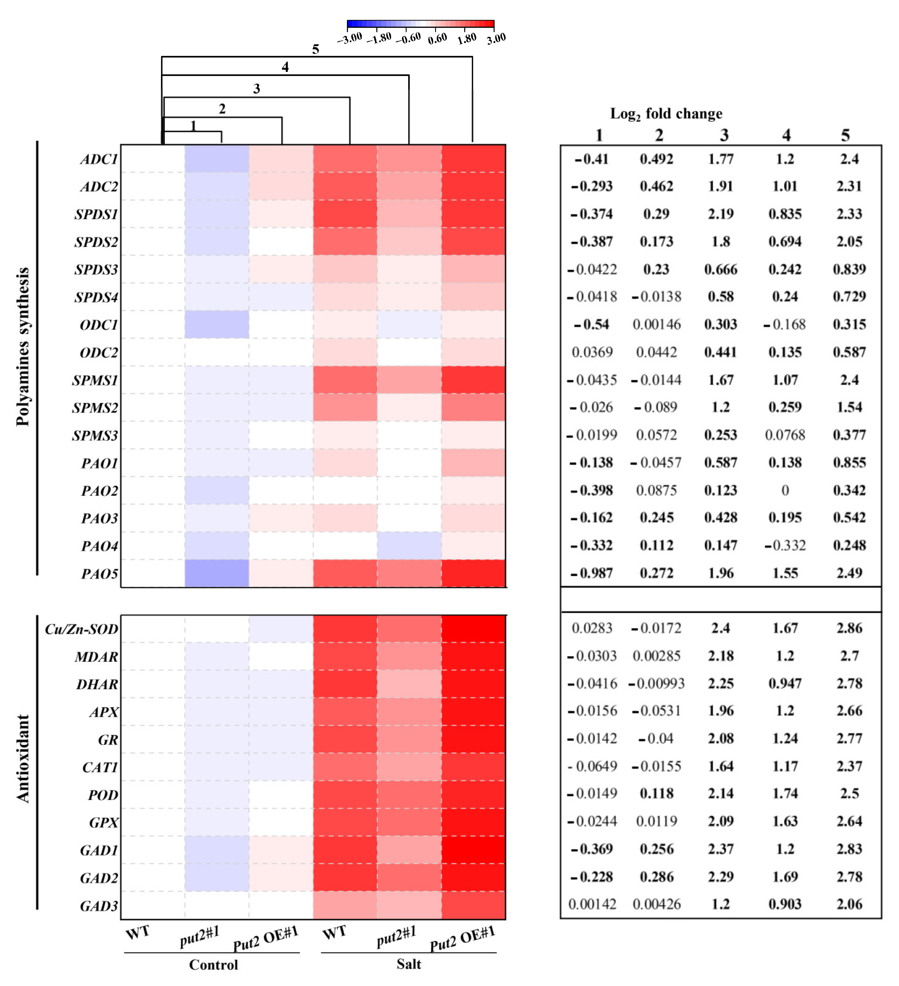 Antioxidants 12 00228 g008