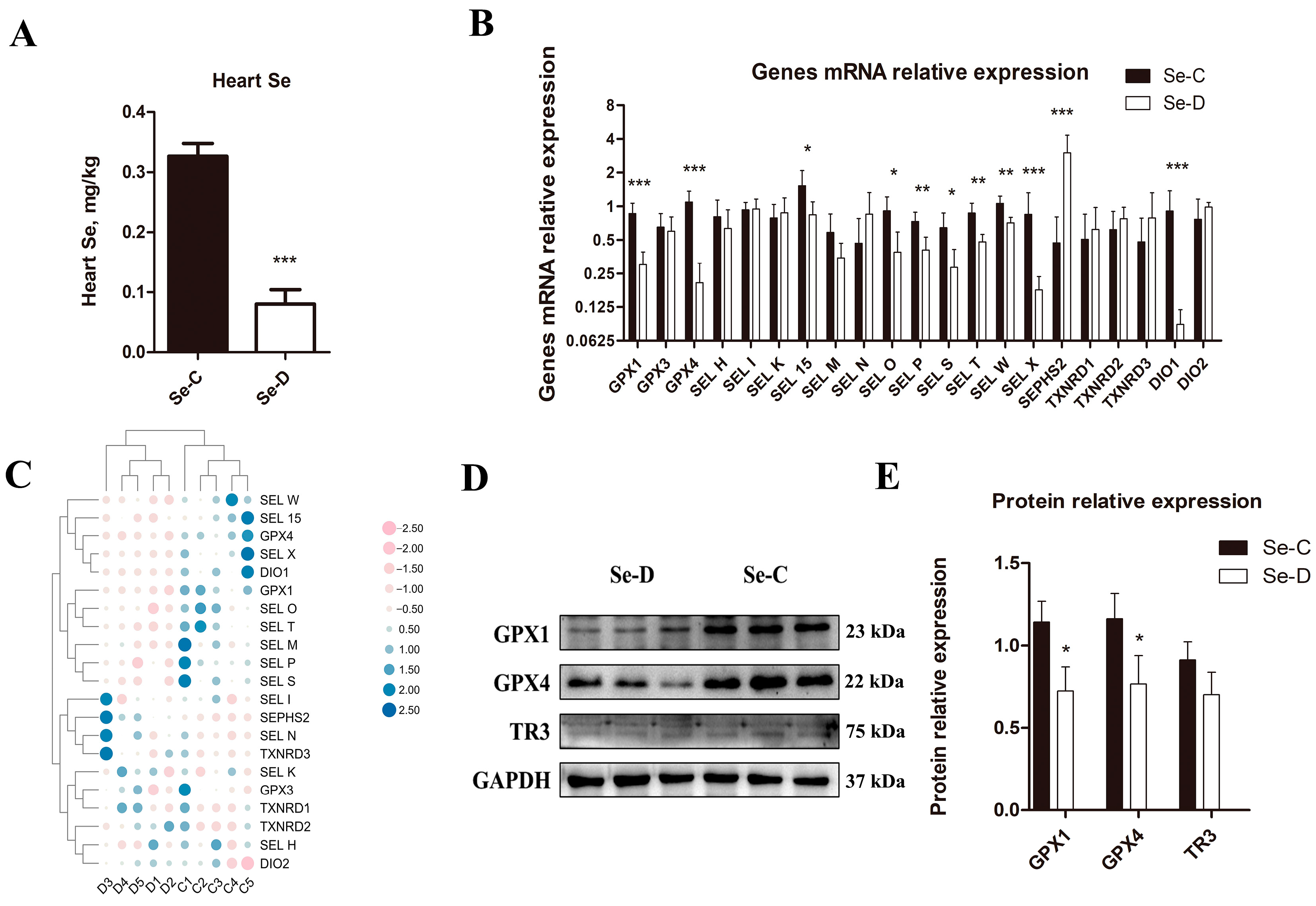 Antioxidants 12 00229 g001