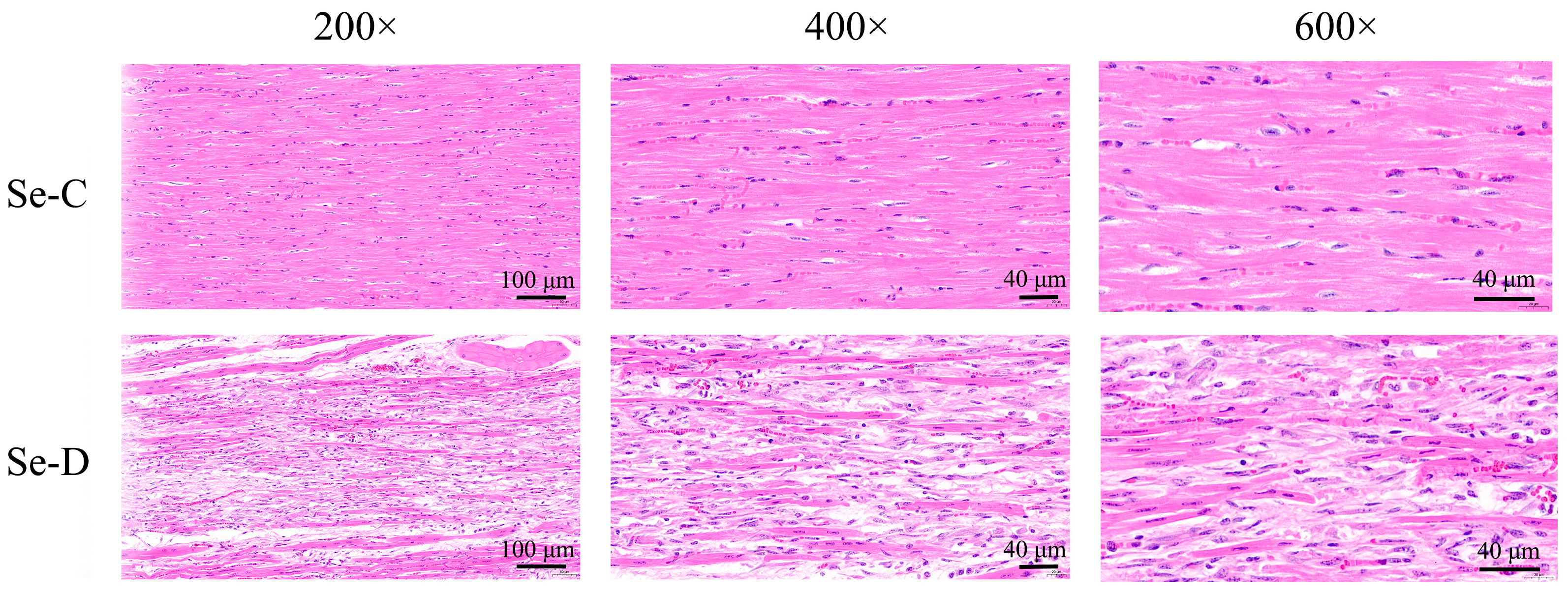 Antioxidants 12 00229 g002