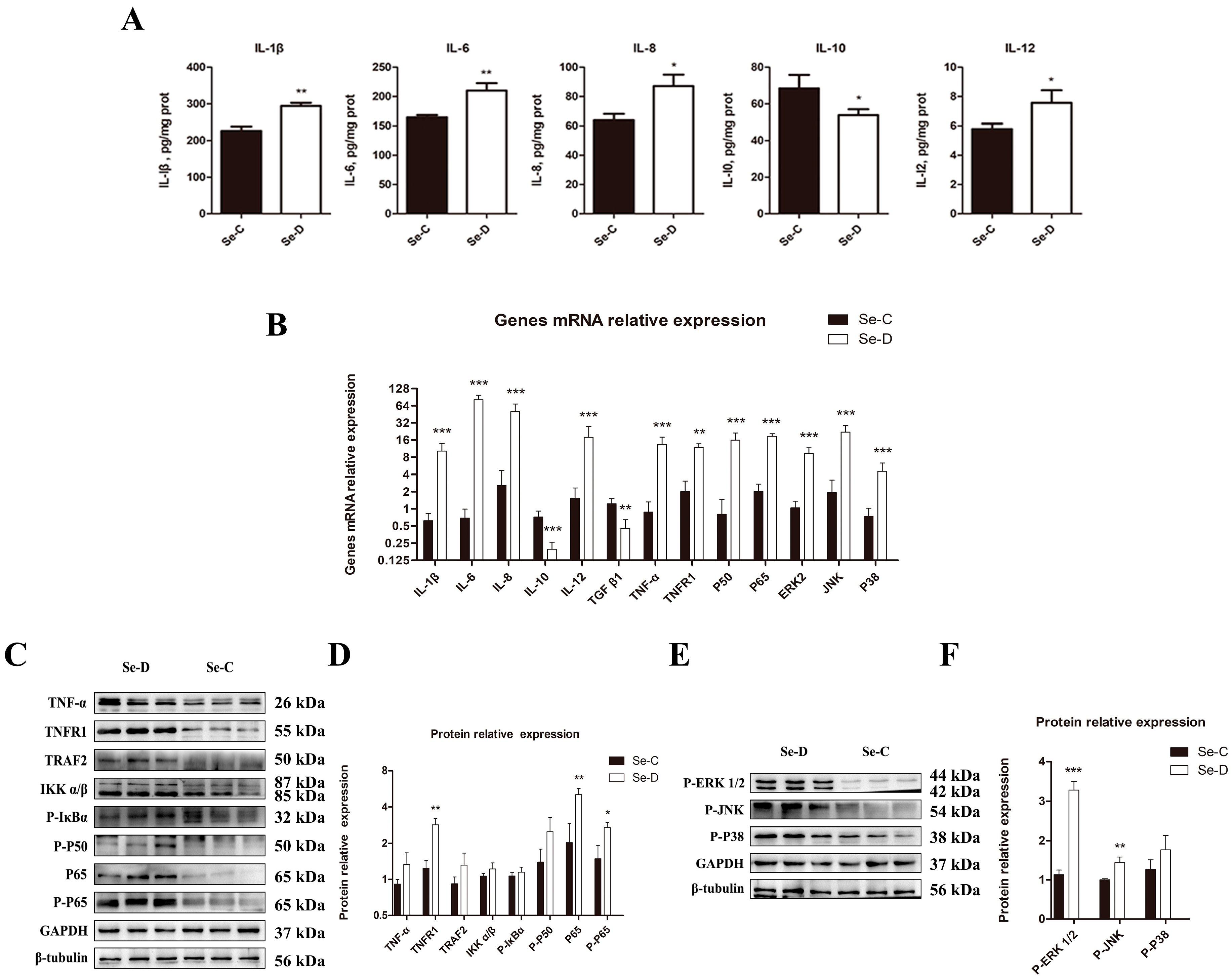 Antioxidants 12 00229 g005