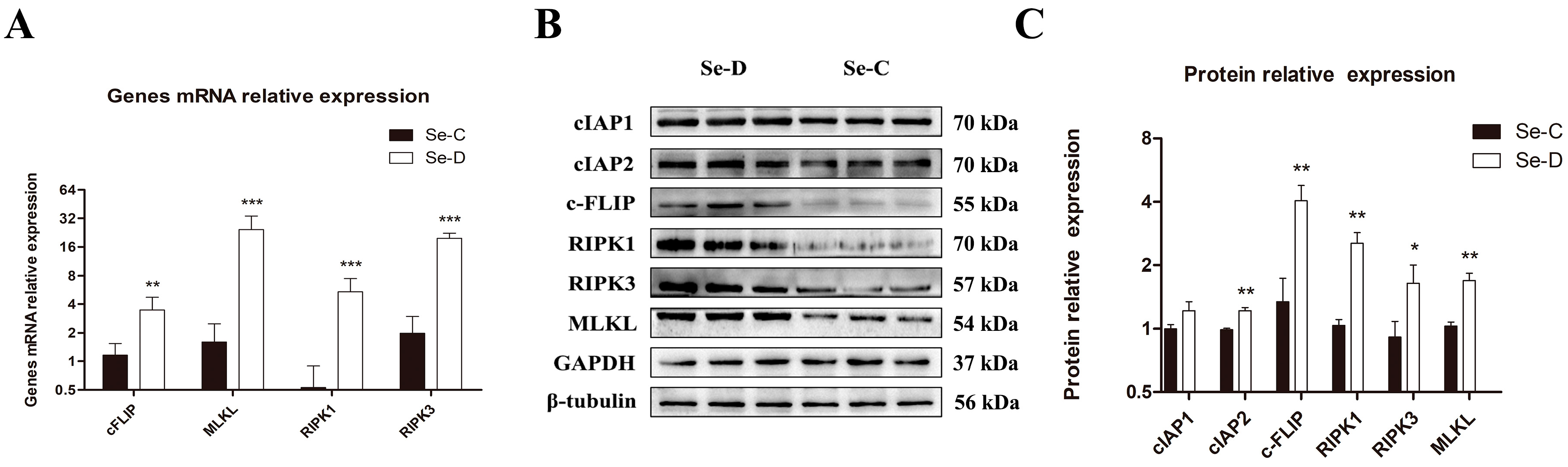 Antioxidants 12 00229 g006