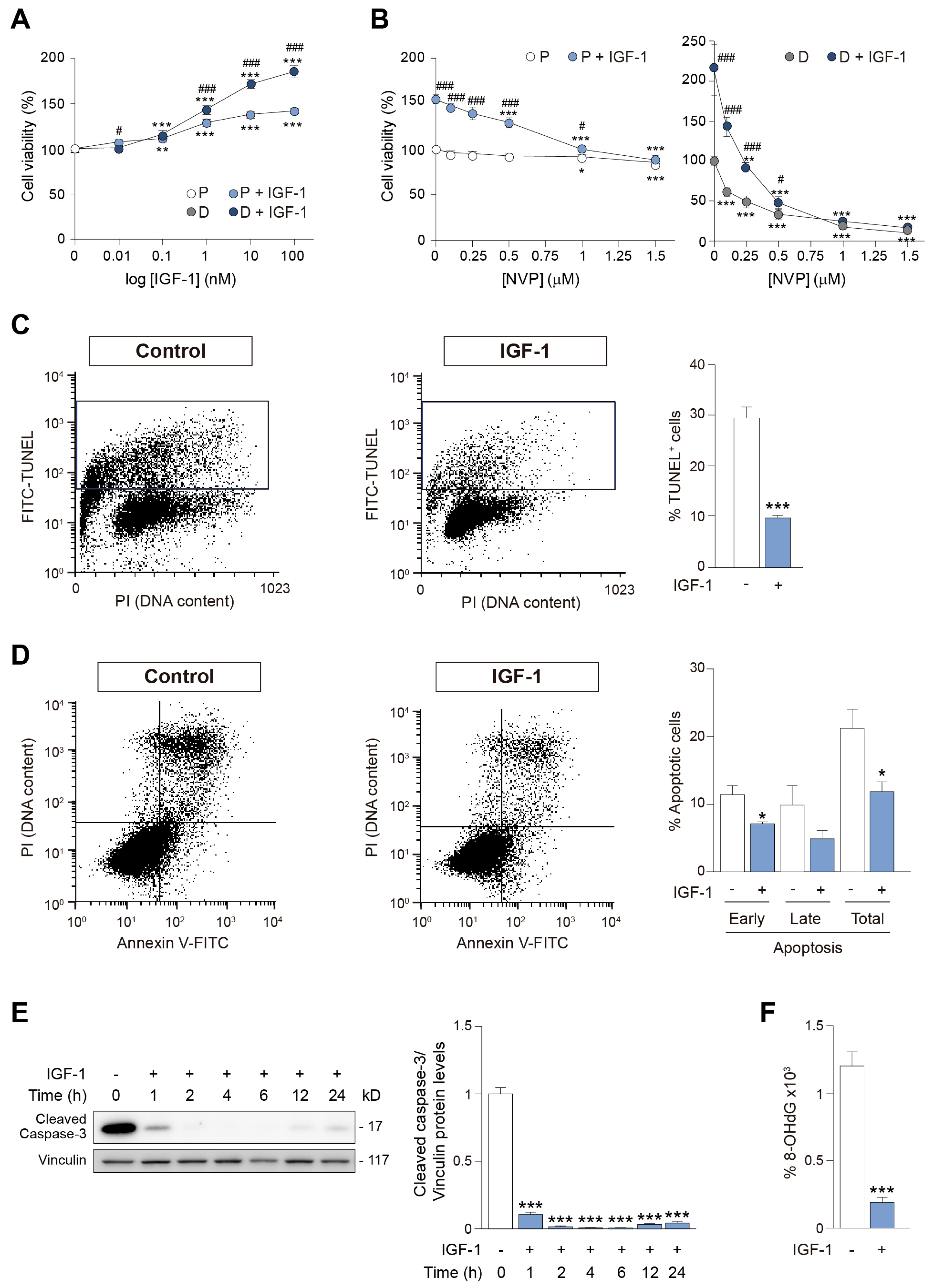 Antioxidants 12 00233 g005