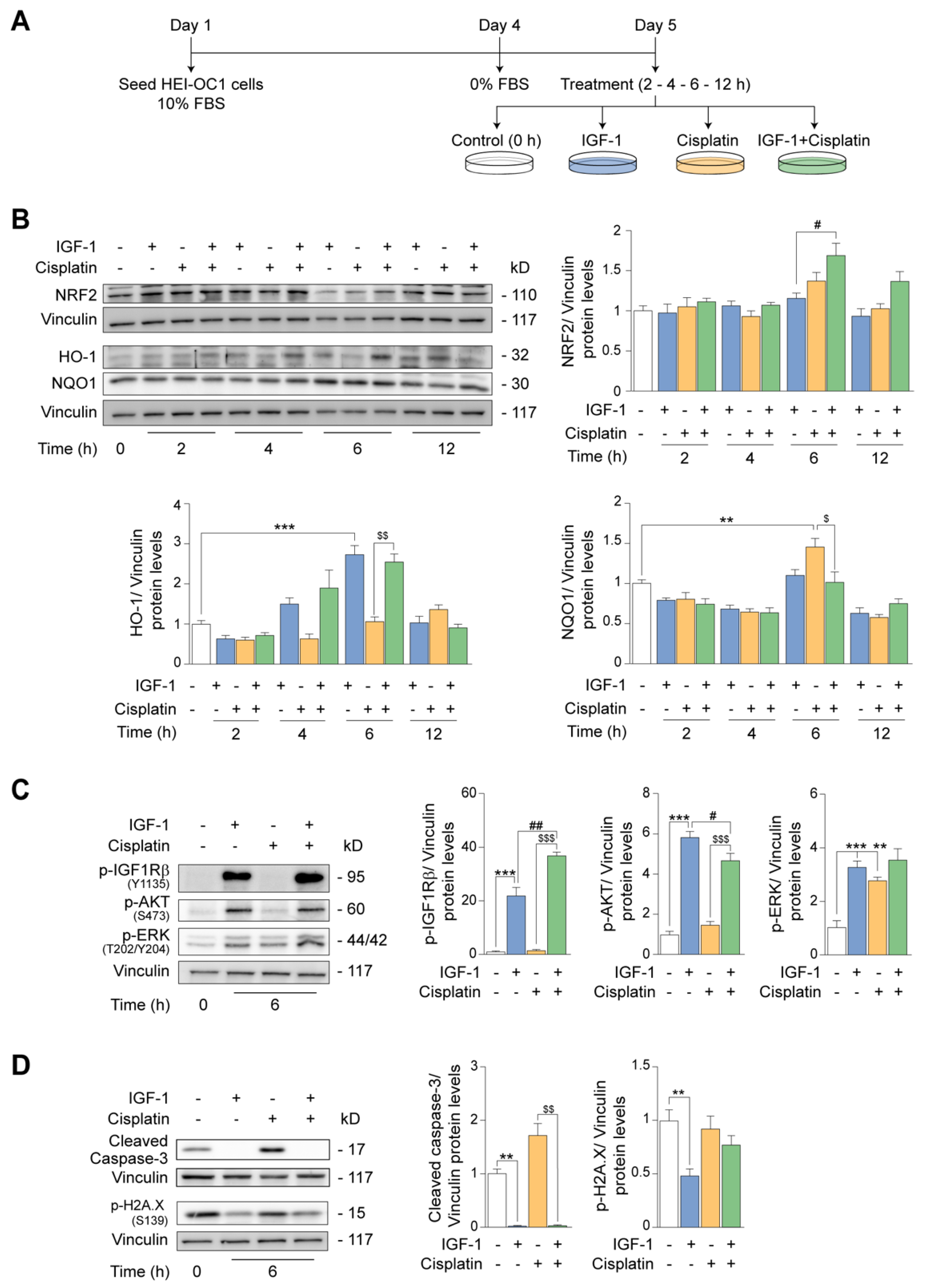Antioxidants 12 00233 g006