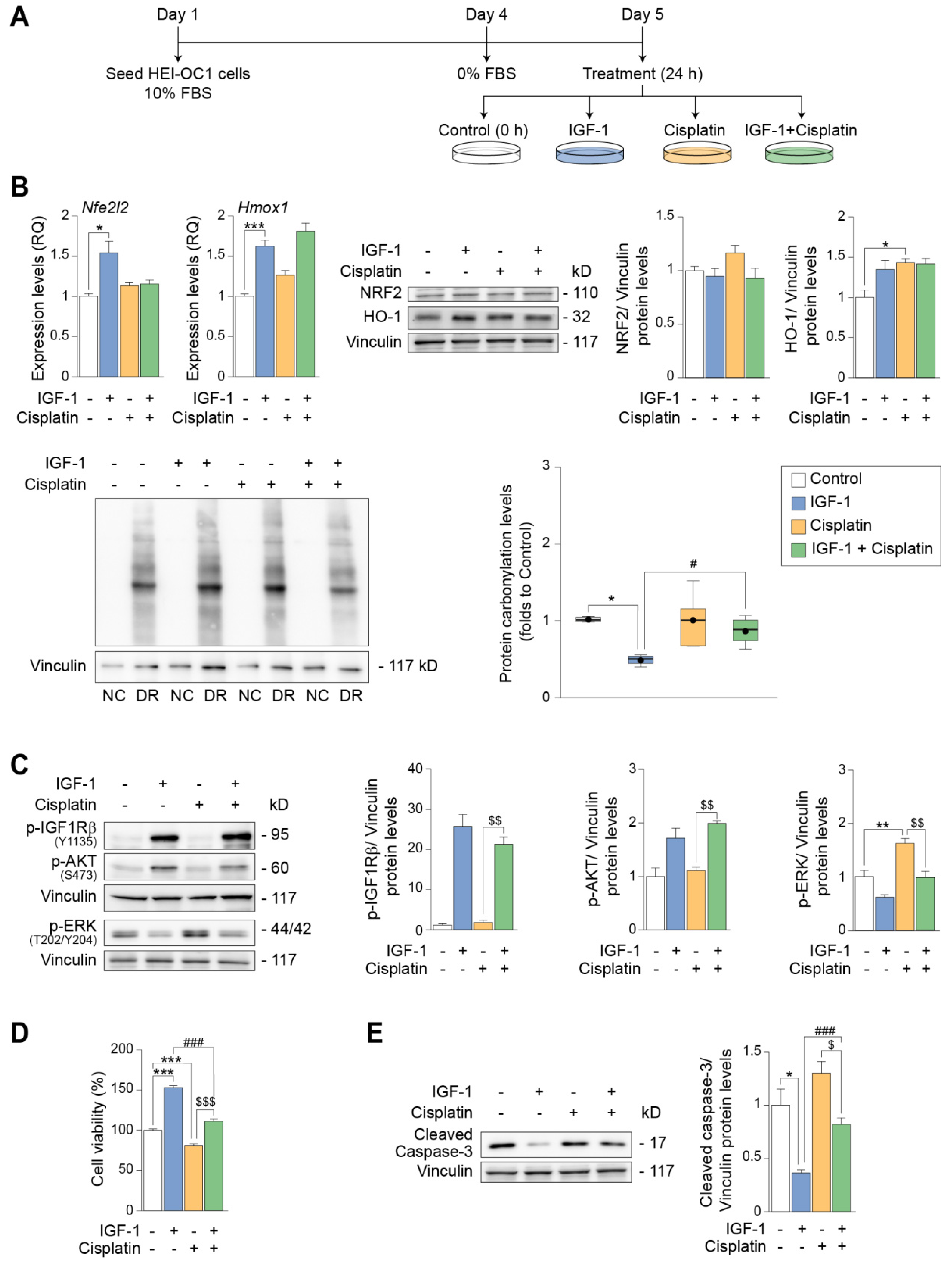 Antioxidants 12 00233 g007