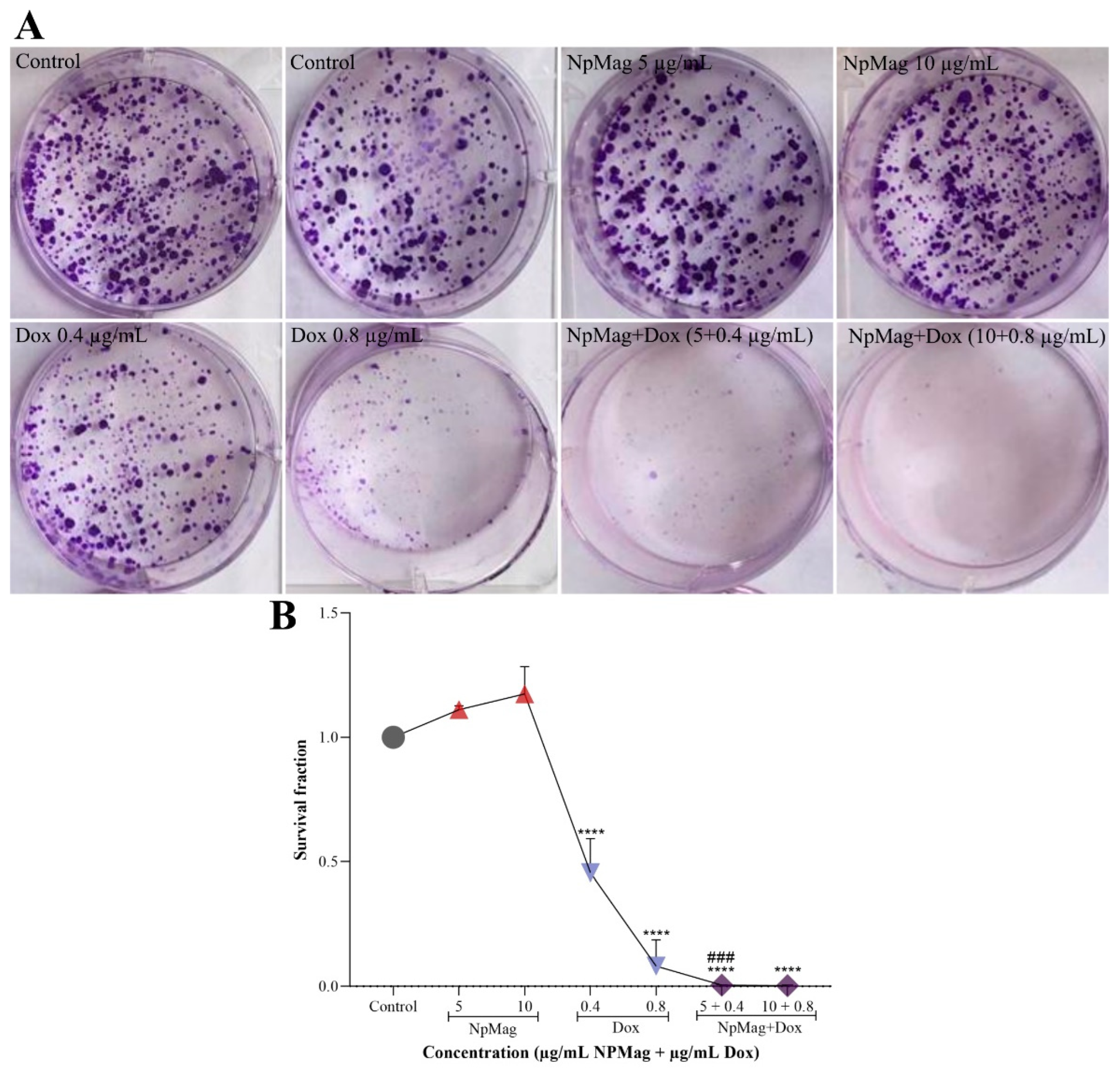 Antioxidants 12 00237 g007