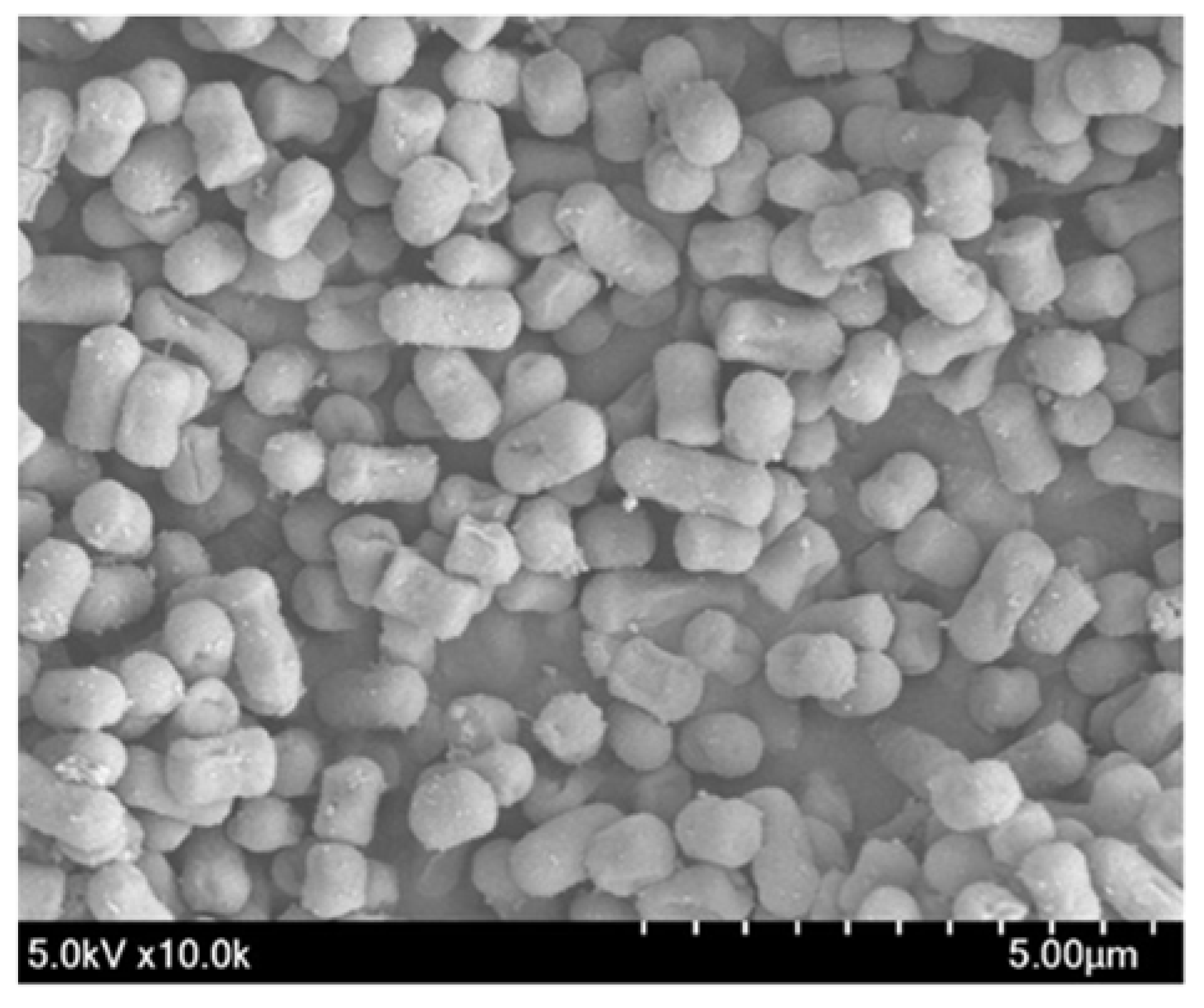 Antioxidants 12 00238 g001 Antioxidants 12 00238 g001